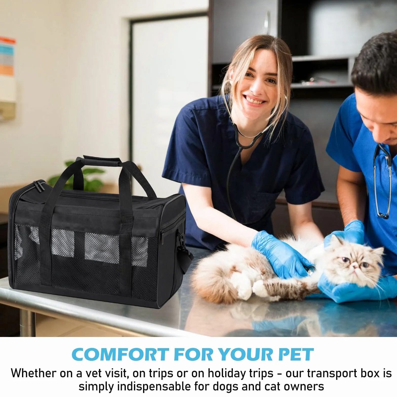 BYZESTY Pliable Boîte de transport pour chien et chat 42x27x28 cm avec gamelle