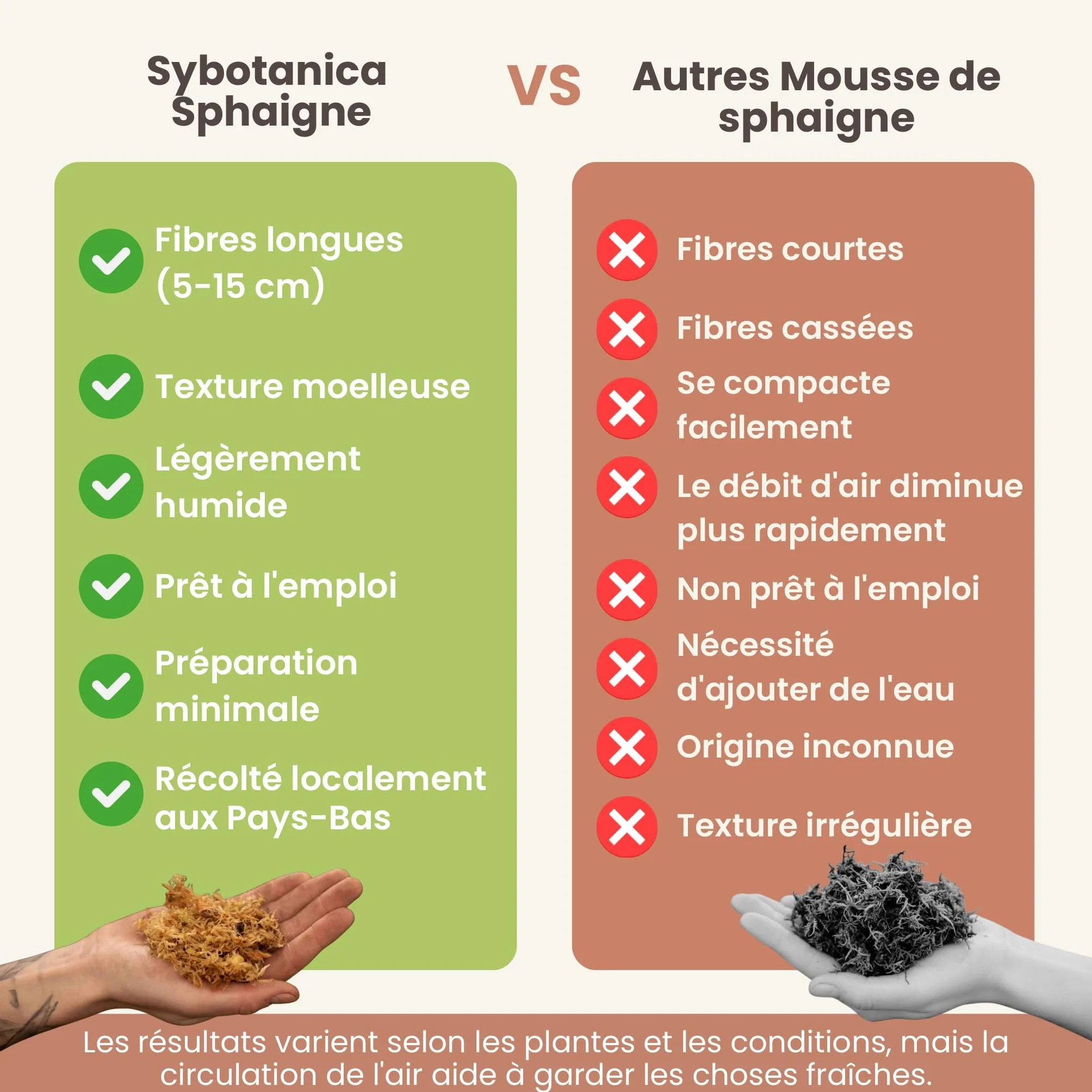 Sybotanica - Sphaigne pour Plante 5L - Sphaigne Vivante pour terreau orchidées, Plante Carnivore, terrariums & Plus - Favorise la Croissance des Racines - Idéal pour Les Amoureux de Plantes