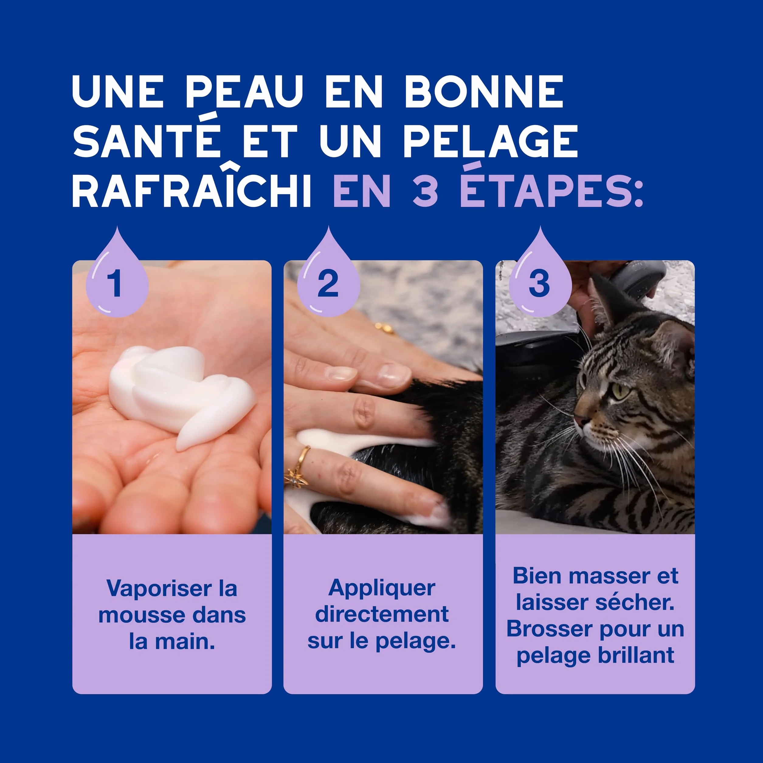 DOUXO Skin & Coat Spa Mousse sans rinçage pour Chat 150 ML nettoie rafraîchit Poil Doux Brillant