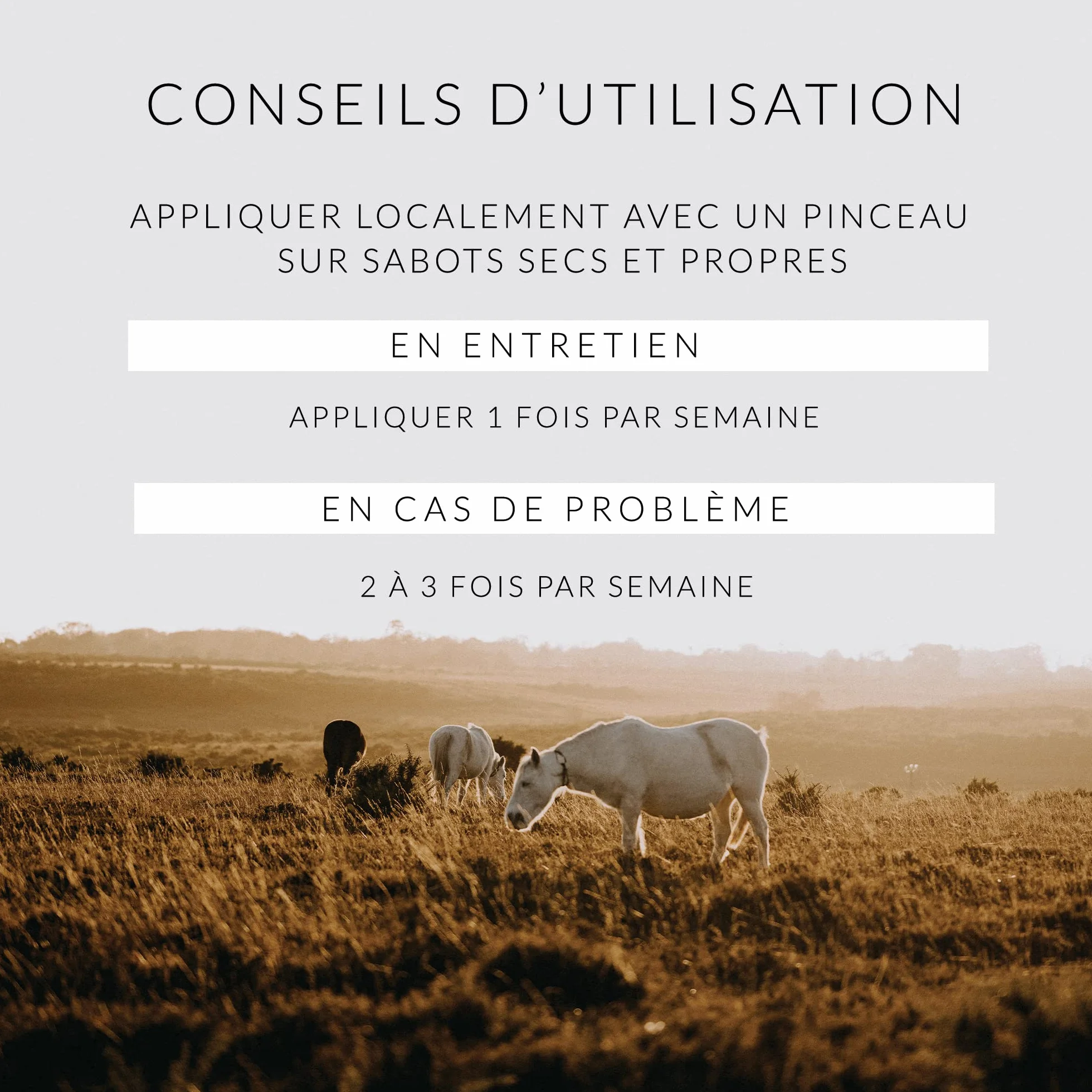 Huile de Cade pour Chevaux Soin des Sabots 500g Fabriquée en France