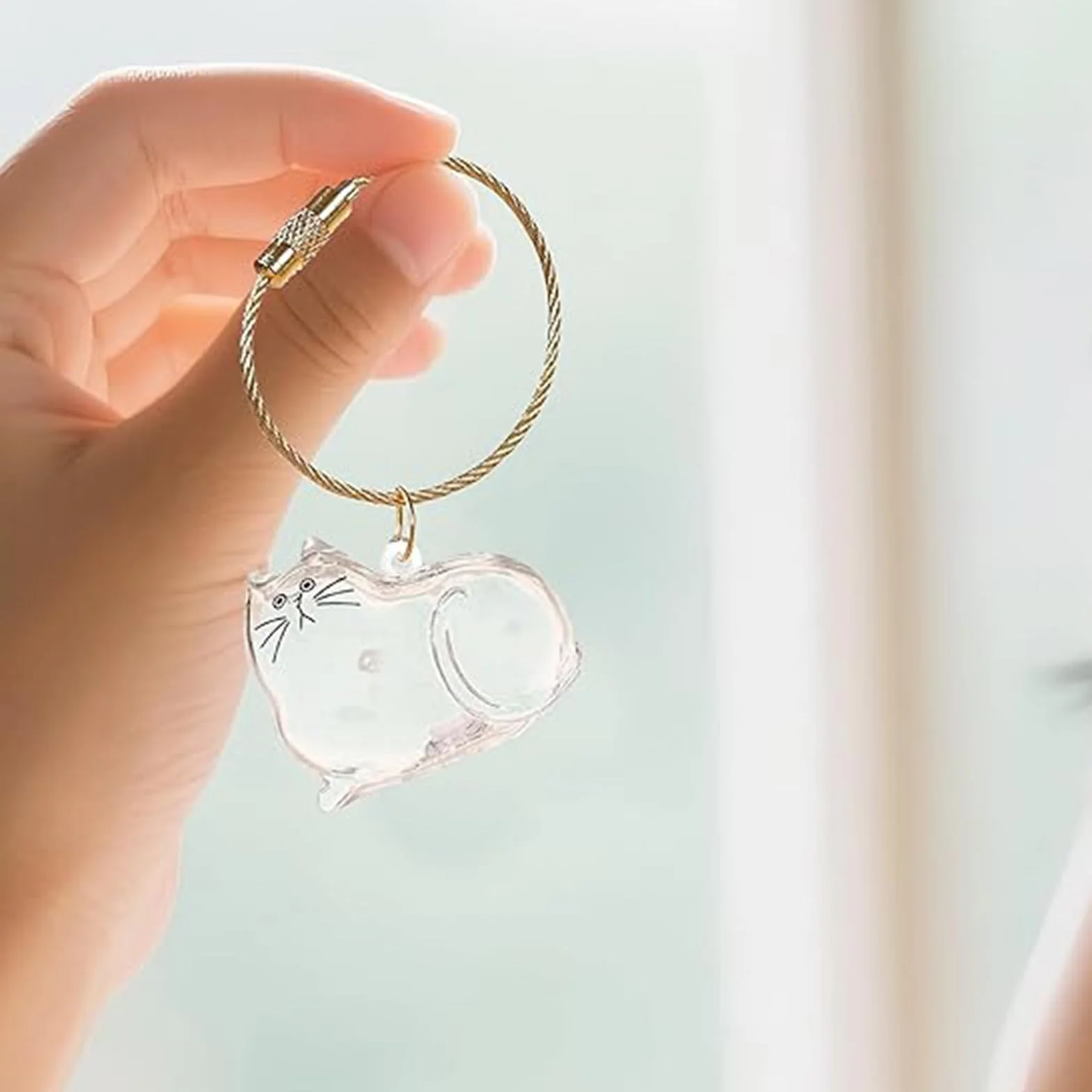 Porte-Clés en Acrylique Transparent pour Poils de Chat, Souvenir Fourrure Animaux