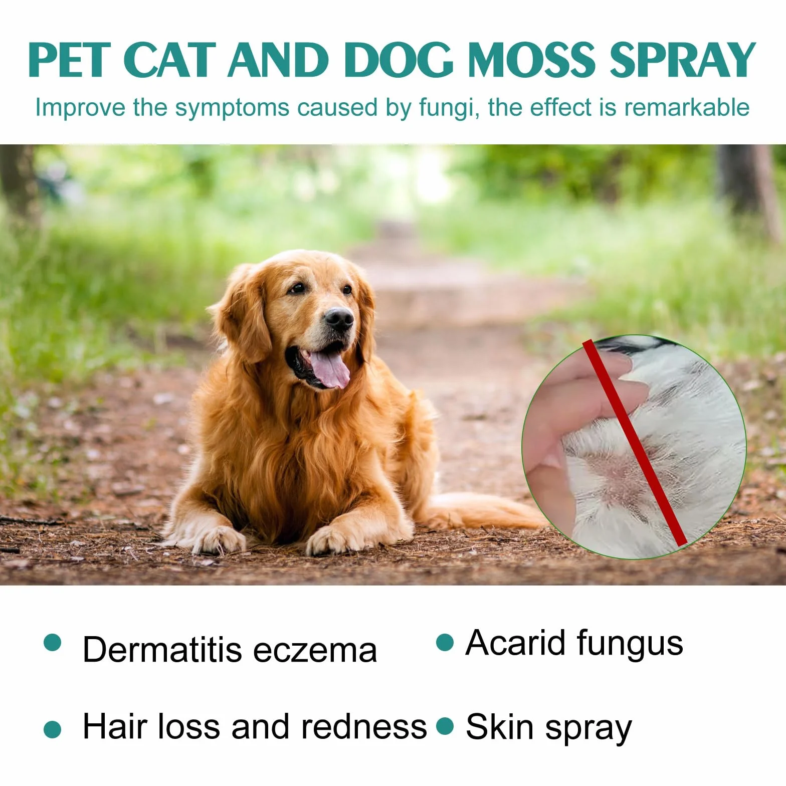 Spray de Guérison pour Animaux, Cicatrisation, Plaies, Antiseptique Chiens Chats