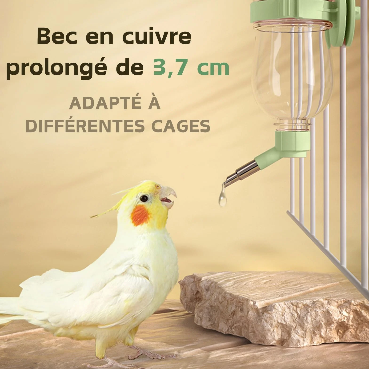 Mangeoire à Eau pour Oiseaux, Distributeur Automatique Cage, Bouteille Suspendre Perruche Canari Cockatiel Pinson Budgerigar Vert 240ml