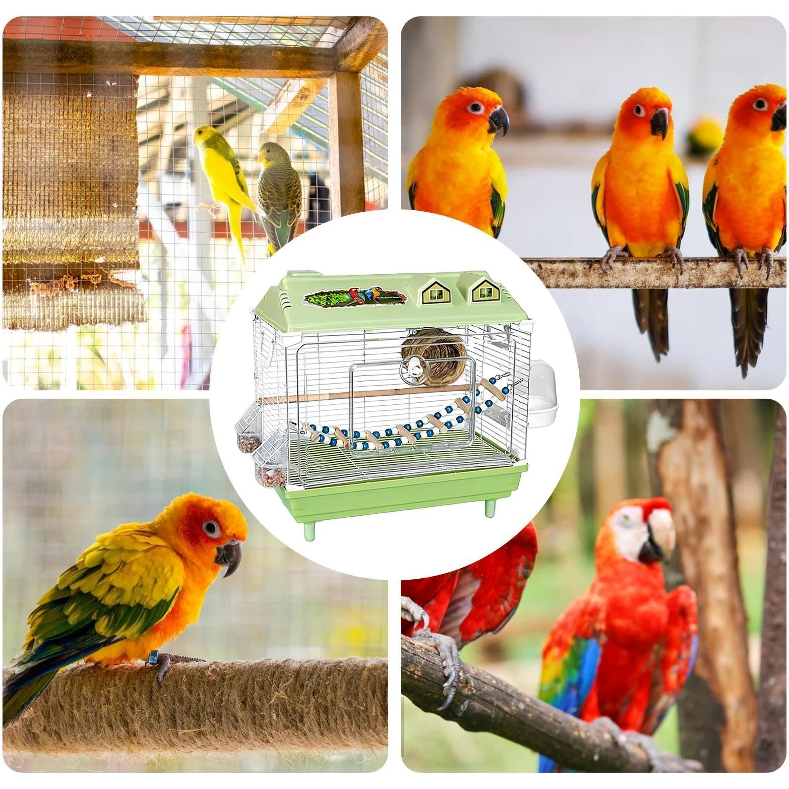 Cage pour Calopsitte Transporteur Transparent Portable pour Calopsittes | Habitat Pour Perruches Avec Perche En Bois pour Perroquets Cacatoès Aras Conures et Canaris d'Intérieur