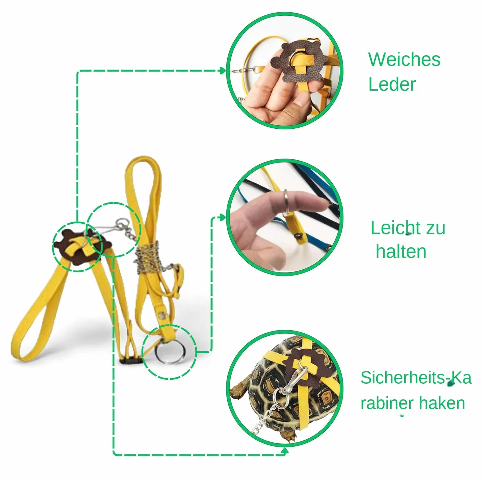 Kit de jeu de tortue avec corde d'escalade et skateboard, harnais réglable pour reptiles, accessoire intérieur extérieur