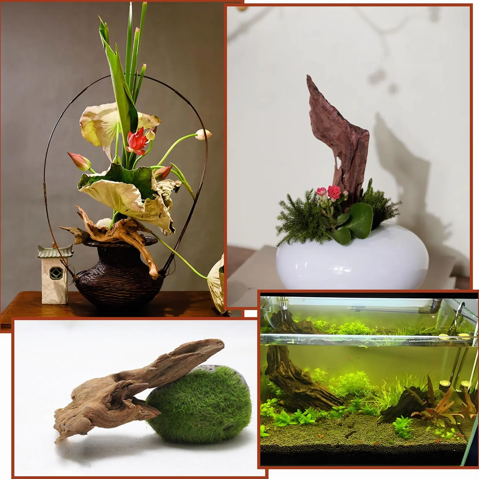 Aquarium Décoration Bois Flotté Branche Décorative Racine Flottant 4 Pièces