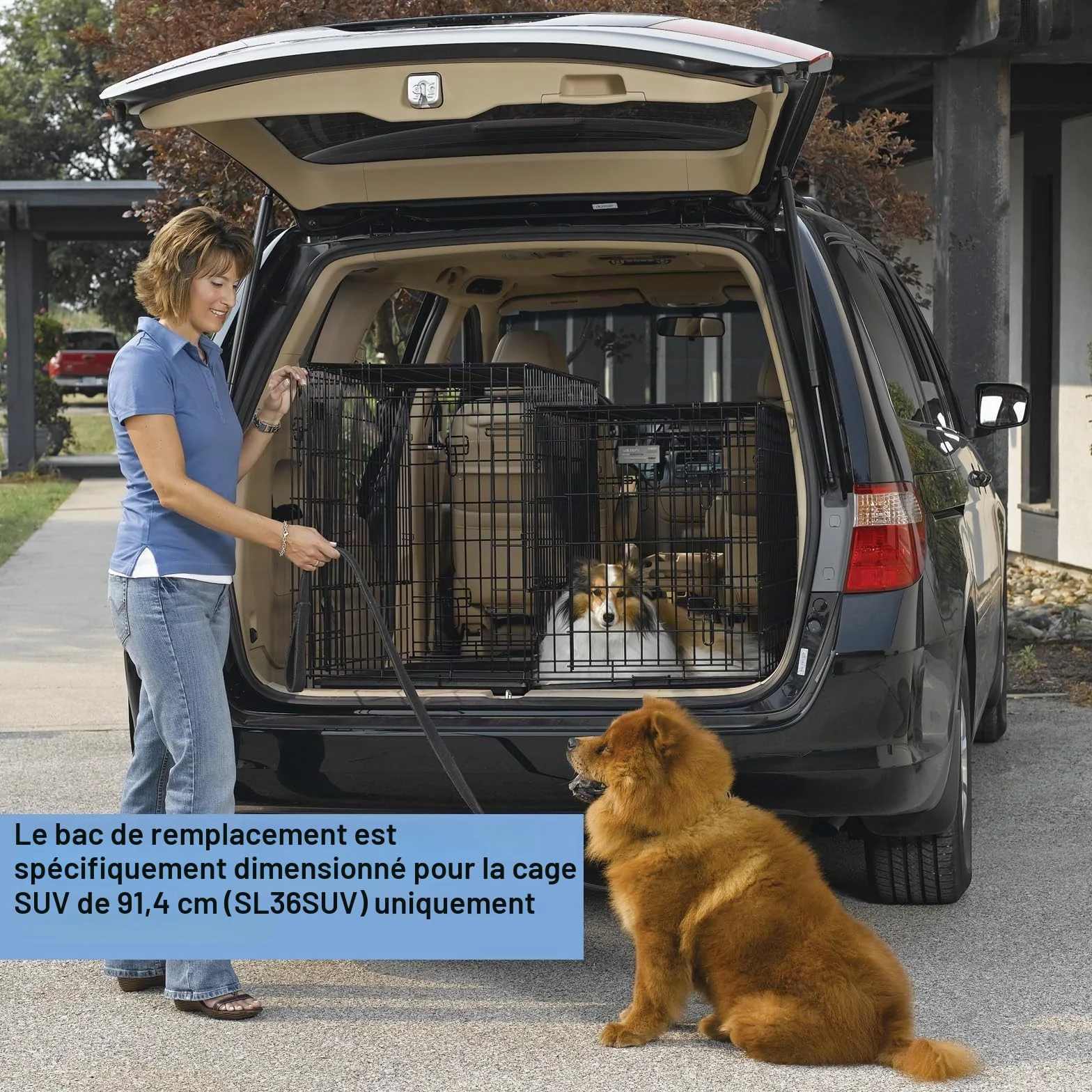 MidWest Homes for Pets 23PAN Plateau de remplacement pour caisse de chien SUV 91,44 cm noir compatible SL36SUV