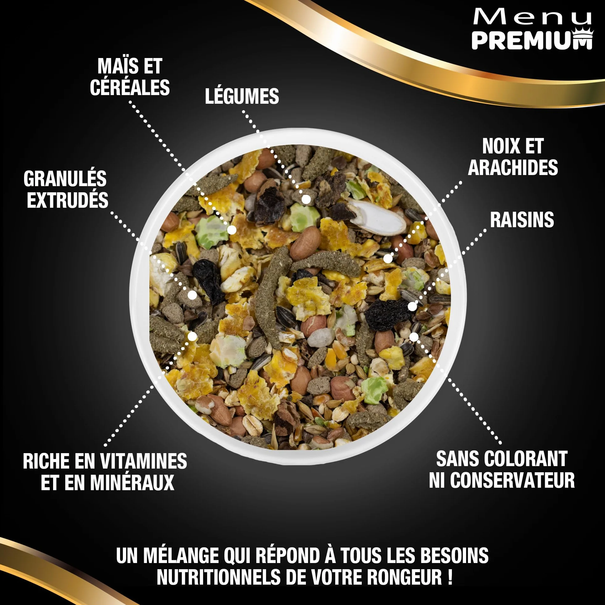 Menu Premium pour Rongeur Granivores Riga - Mélange de Graines, Céréales, Légumes, Fruits et Noix - 500 g