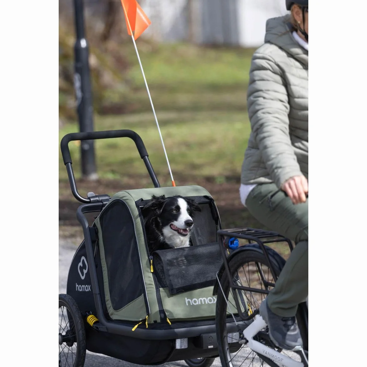 Hamax Remorque Chien Pluto Suspension 3 Positions Kit Poussette Inclus Charge Max 35 kg L 45 kg Sécurité Confort