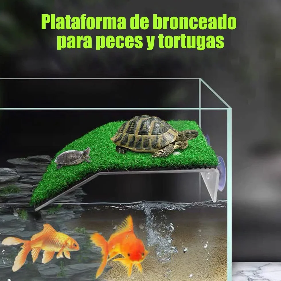 Plate-forme de repos pour tortue Voarge, antidérapant, petite terrine