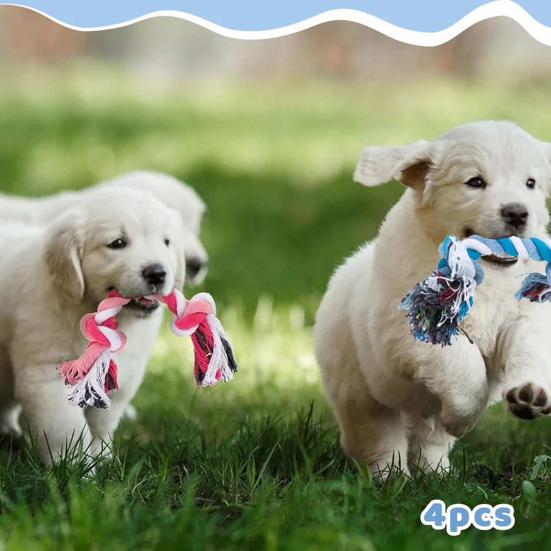 Jouet chien corde tressée pour chiots petites races 4 pièces