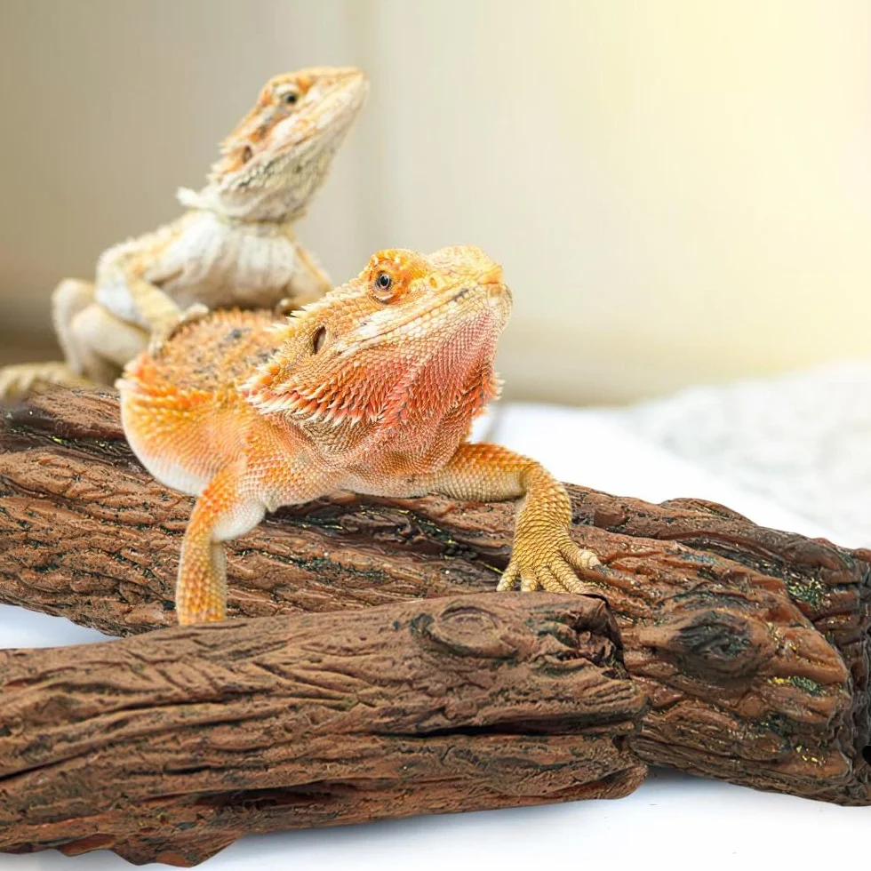 Pierres Branches Décoration Terrarium Reptiles 3 Pièces Simulé Habitat