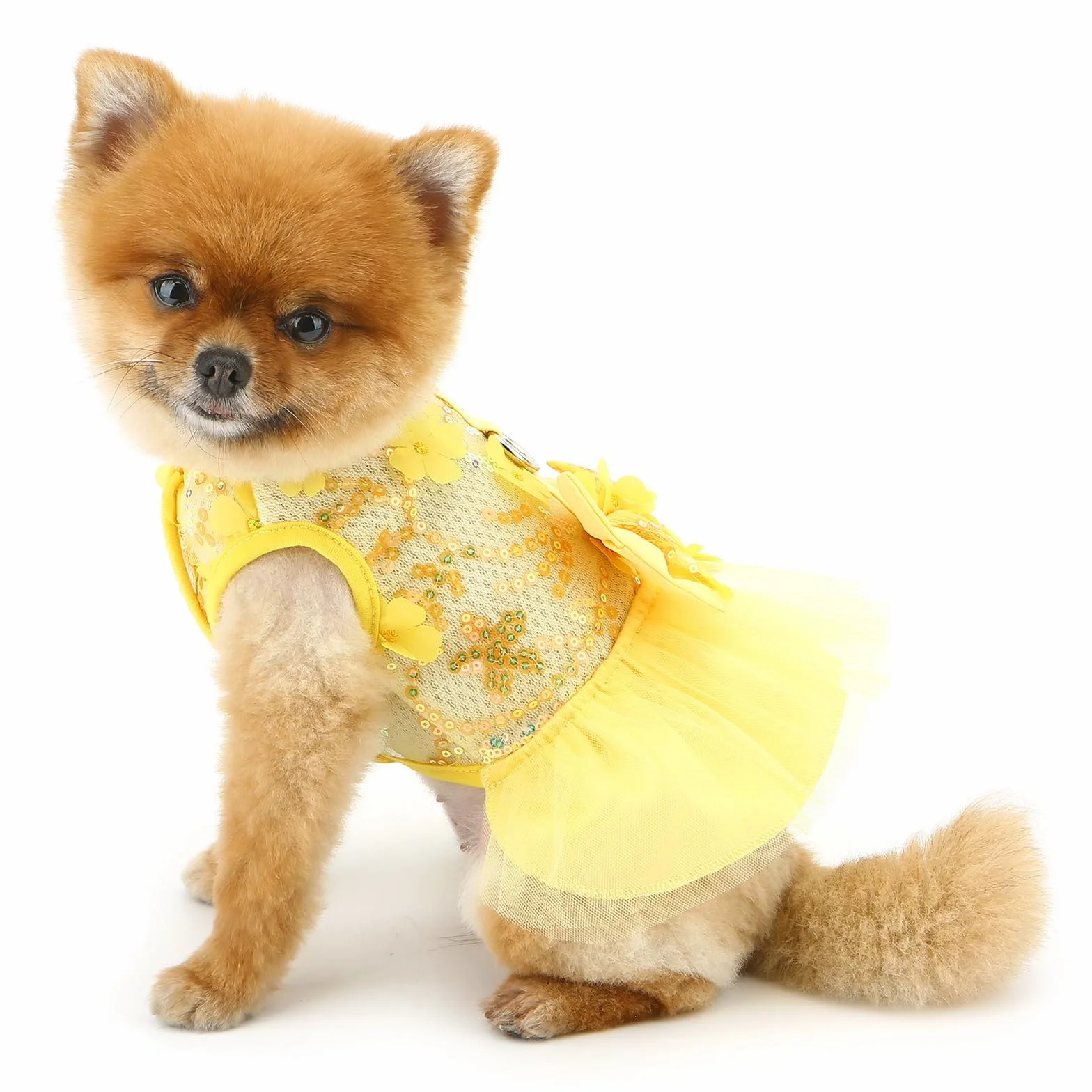 Robe tutu princesse avec nœud jupe maille paillettes chihuahua taille XL jaune