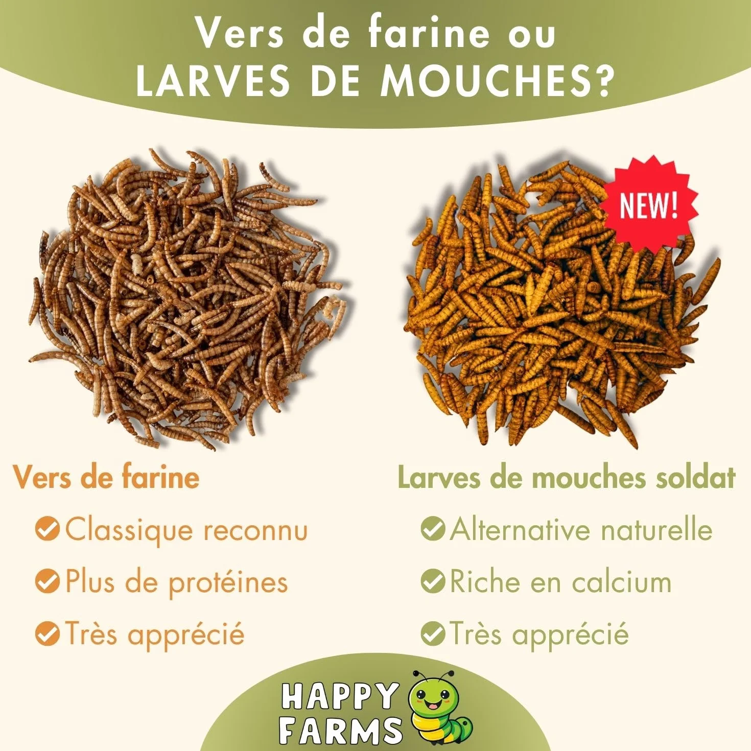 Larves de Mouches Soldats séchées 5 kg – Aliment pour Oiseaux Sauvages, Poules et hérissons