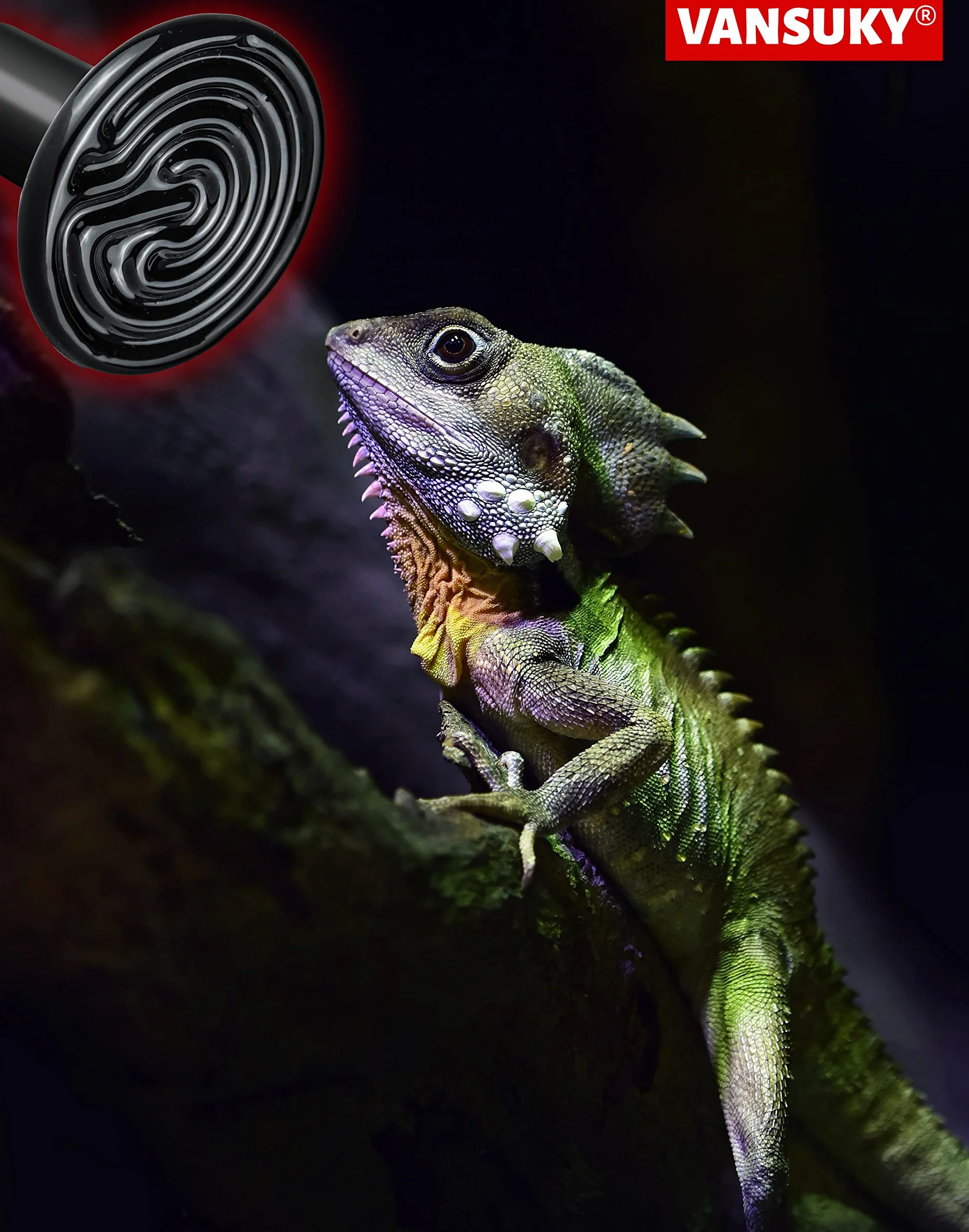 Lampe Chauffante en Céramique 200W Reptiles – Émetteur de Chaleur Infrarouge Sans Lumière 220-240V