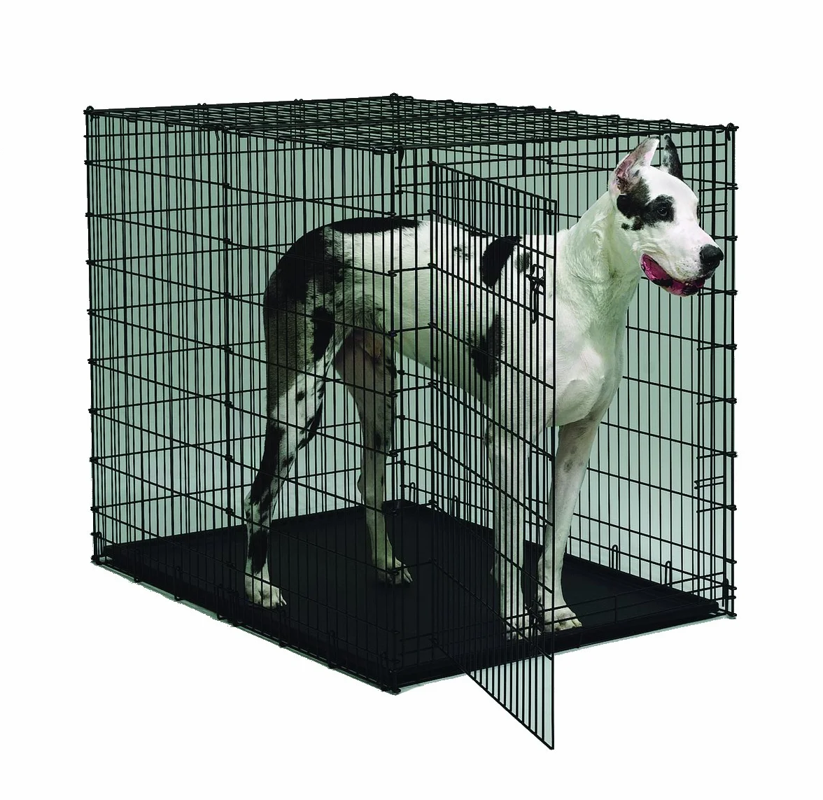 MidWest Homes for Pets Plateau en Plastique de Rechange série Midwest Solution à Une Porte Rabattable avec Crochet de Fermeture pour la Cage pour Chien 1154U