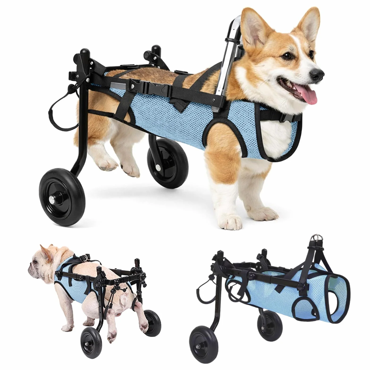 Fauteuil roulant pour chien - Pour pattes arrière - Chariot d'aide à la mobilité réglable - Cadre en aluminium léger pour petits chiens/chats - Paralysie, handicap (bleu, XS (poids jusqu'à 3,5 kg)
