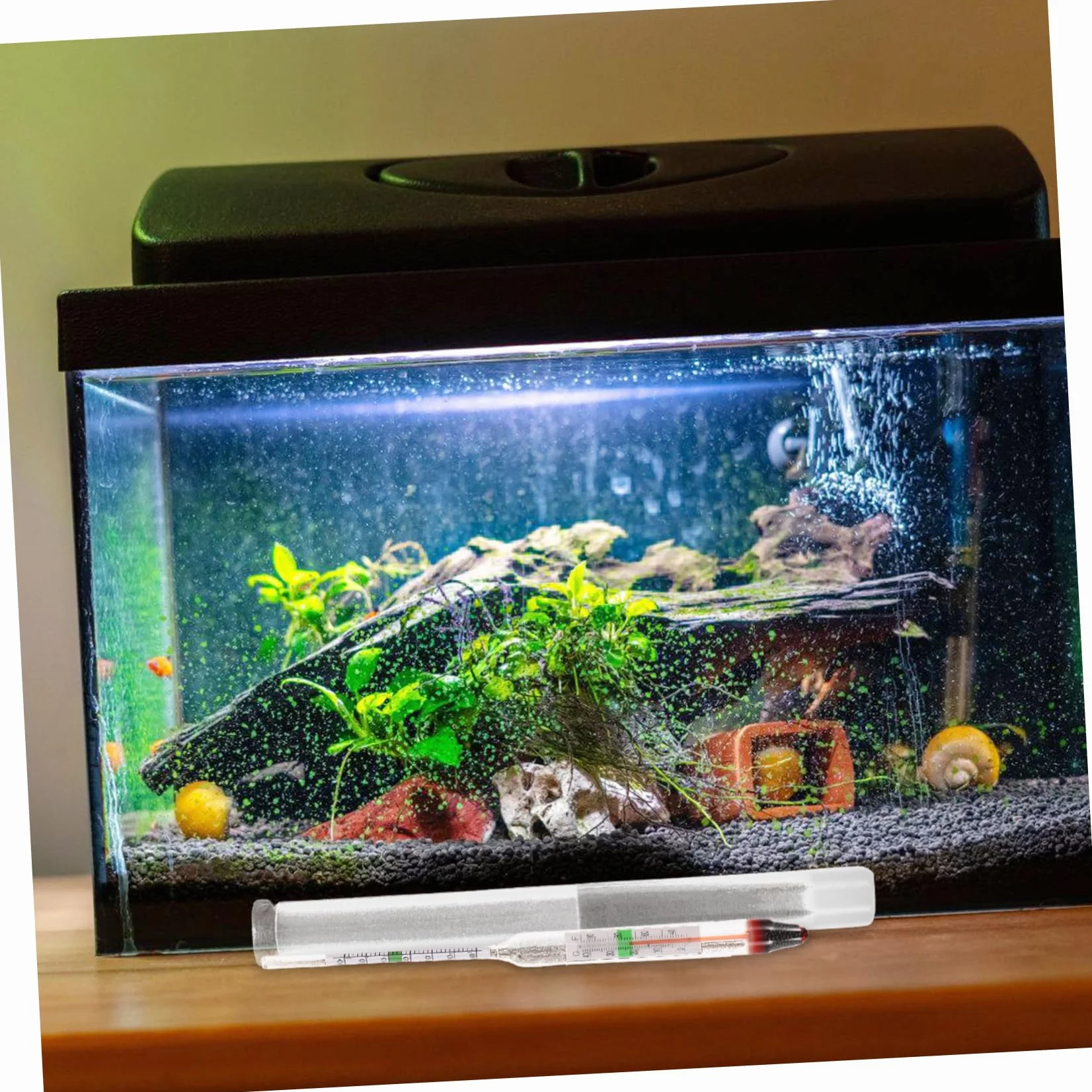 Ipetboom Hydromètre de salinité pour Aquarium Haute précision Testeur d'eau salée