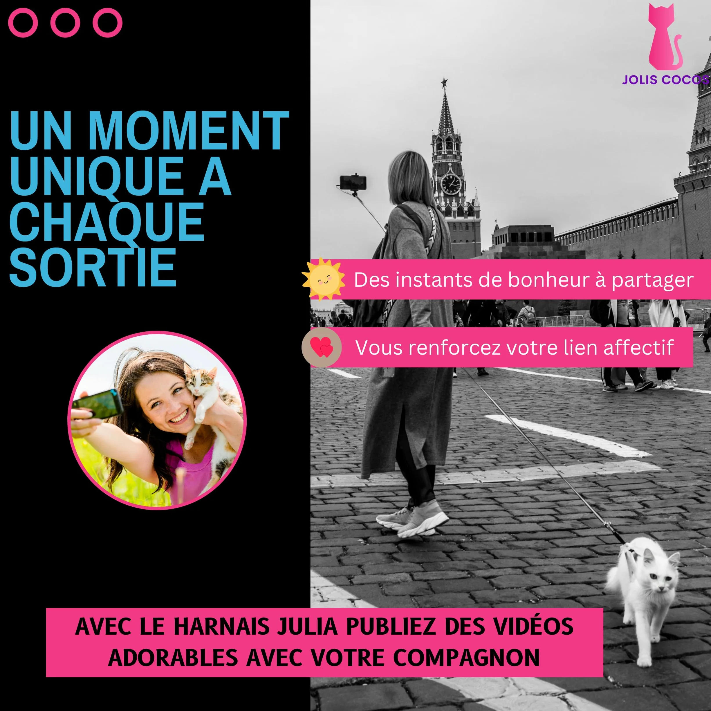 Harnais et Laisse pour Chat ou Lapin avec Guide Première Sortie, Accessoire Réglable Réfléchissant, Anti-Fugue