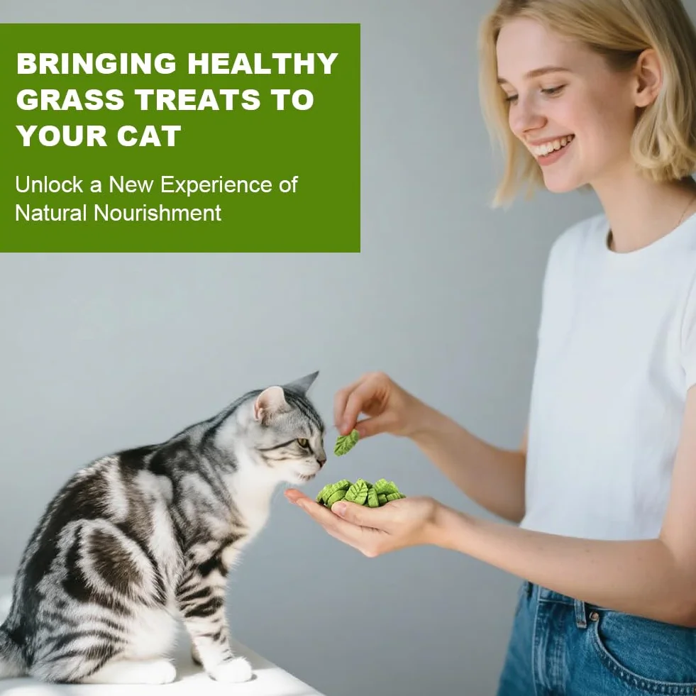 Bâton d'herbe à Chat 100g Feuilles lyophilisé Comestible Nettoyage des Dents Élimination des Boules de Poils pour Chat