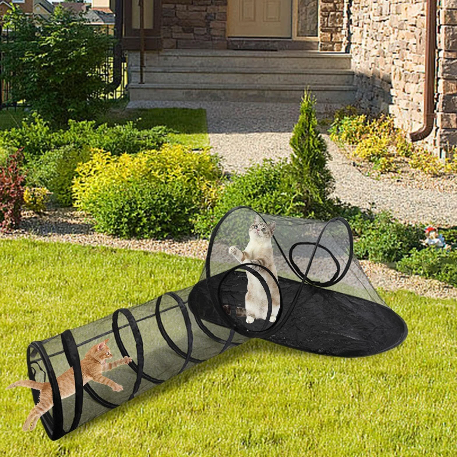 Tunnel pour chat extérieur pliable avec tente d'enceinte pour chats d'intérieur et d'extérieur