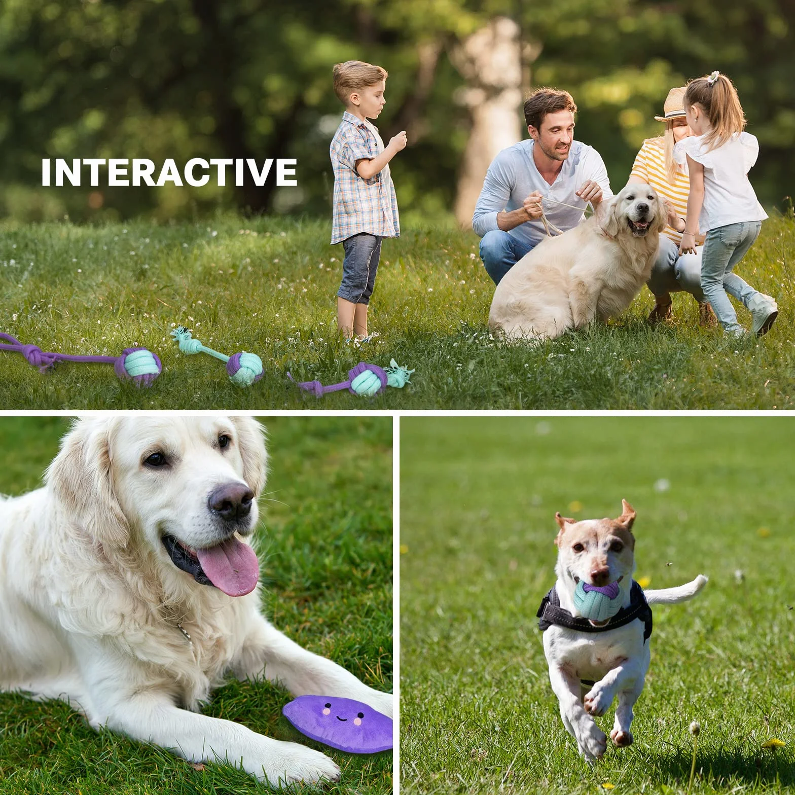 Lot de 20 Jouets pour Chiens - Corde Balle Jouet à Mâcher Interactif