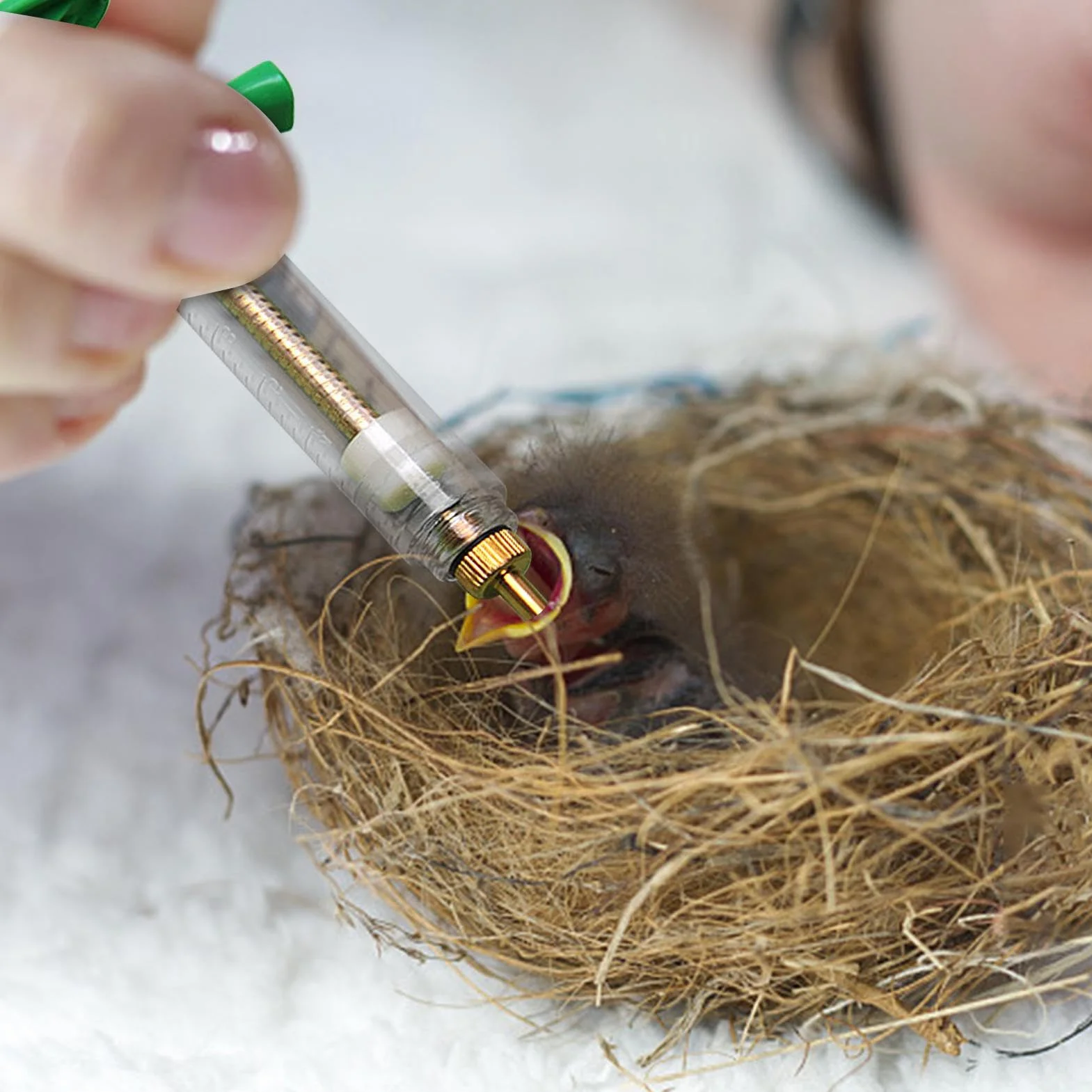 Seringue Pour Aliments Pour Oiseaux Avec Tuyau - Kit Alimentaire Précis Pour Petits Oiseaux Et Animaux