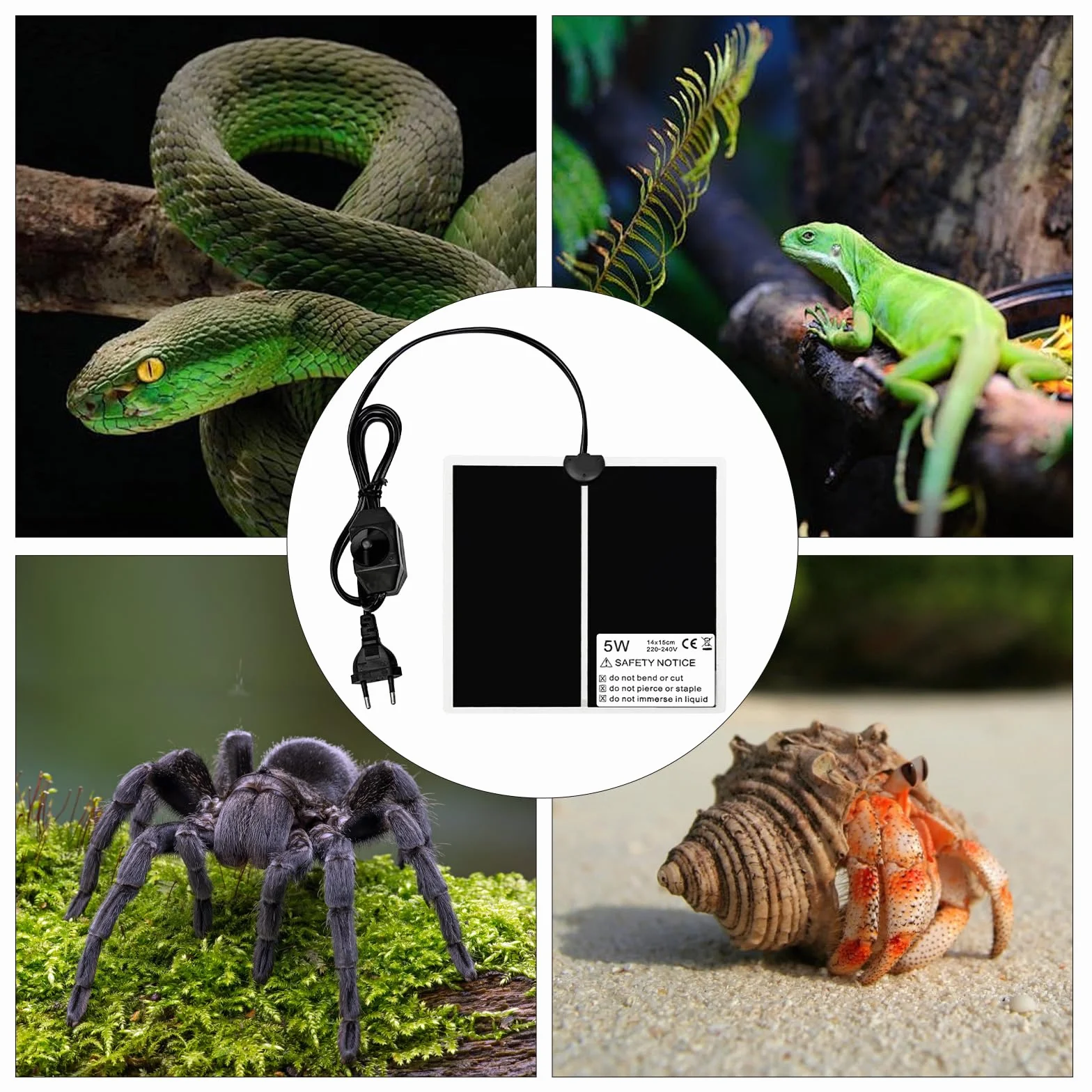 Tapis Chauffant pour Terrarium Reptile 5W 15x14cm Température Réglable Fiche Européenne