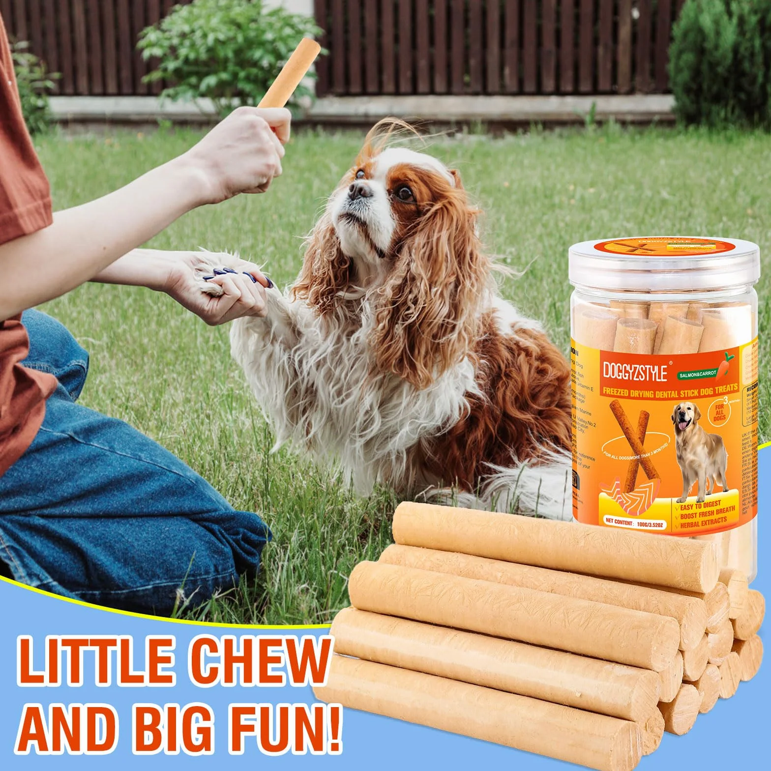 Bâtonnets De Saumon pour Chiens, Vrai Saumon Et Carottes, Facile À Digérer, Gâterie Riche en Protéines