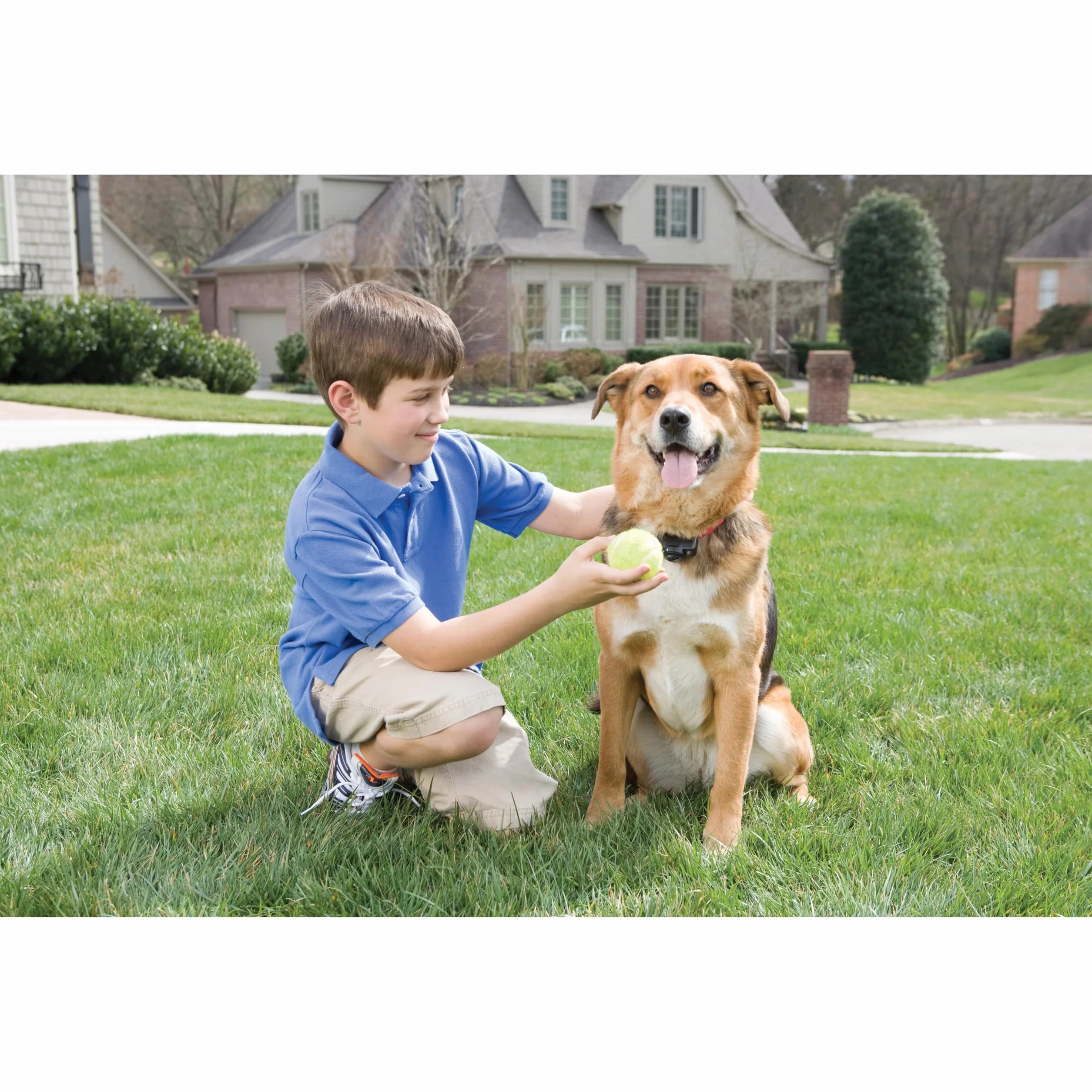 Petsafe Collier Anti-Fugue Deluxe pour Chien avec Fil, Léger, 4 Niveaux Stimulation, Mode Signal Sonore, Résistant à la Pluie