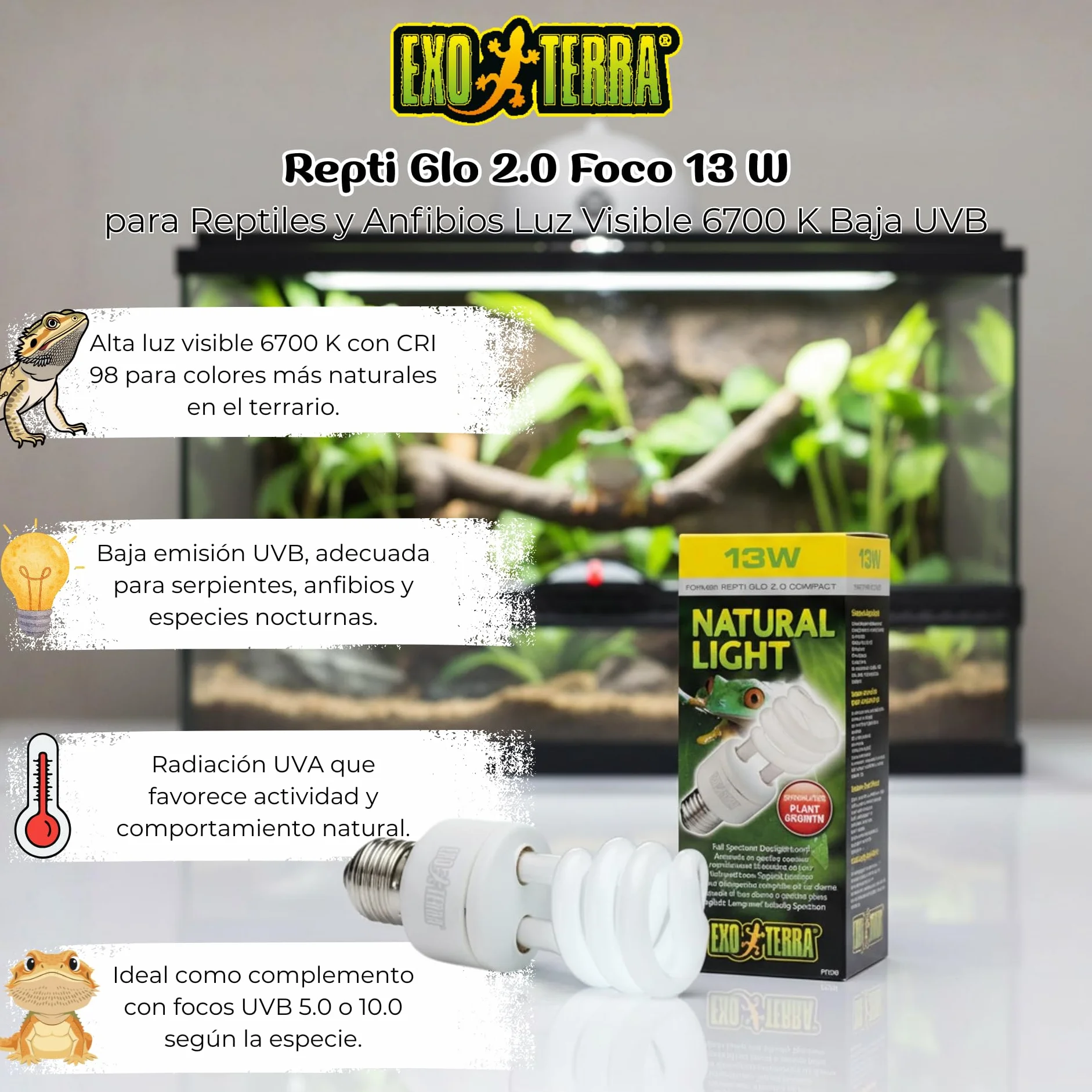 Exo Terra Lampe à spectre complet 13 W E27 pour reptiles et amphibiens