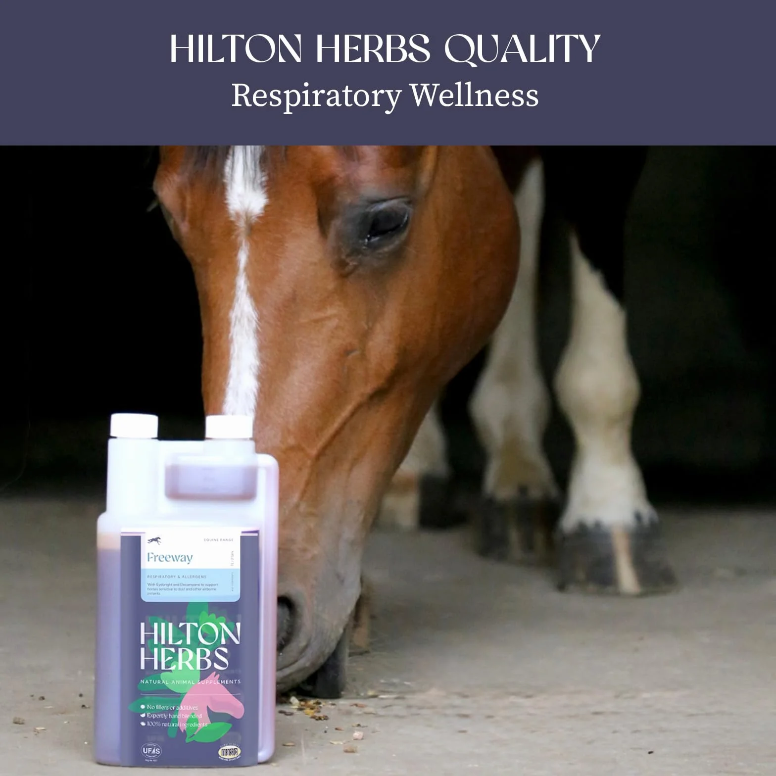 Hilton Herbs Freeway Gold 500 ml