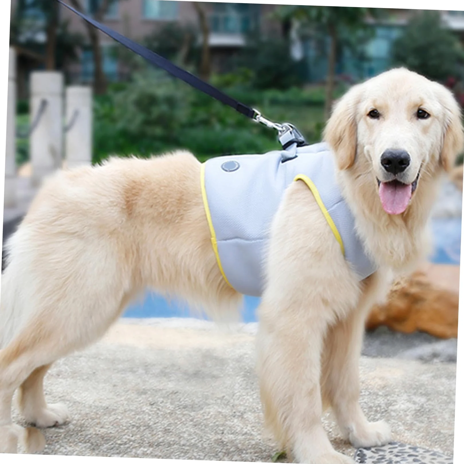 Sangle De Traction Pour Animaux De Compagnie Débardeurs Veste De Refroidissement Veste Rafraîchissante Pour Chien Camisoles Cool Gilet Sensation De Fraîcheur La Laisse Du Chien