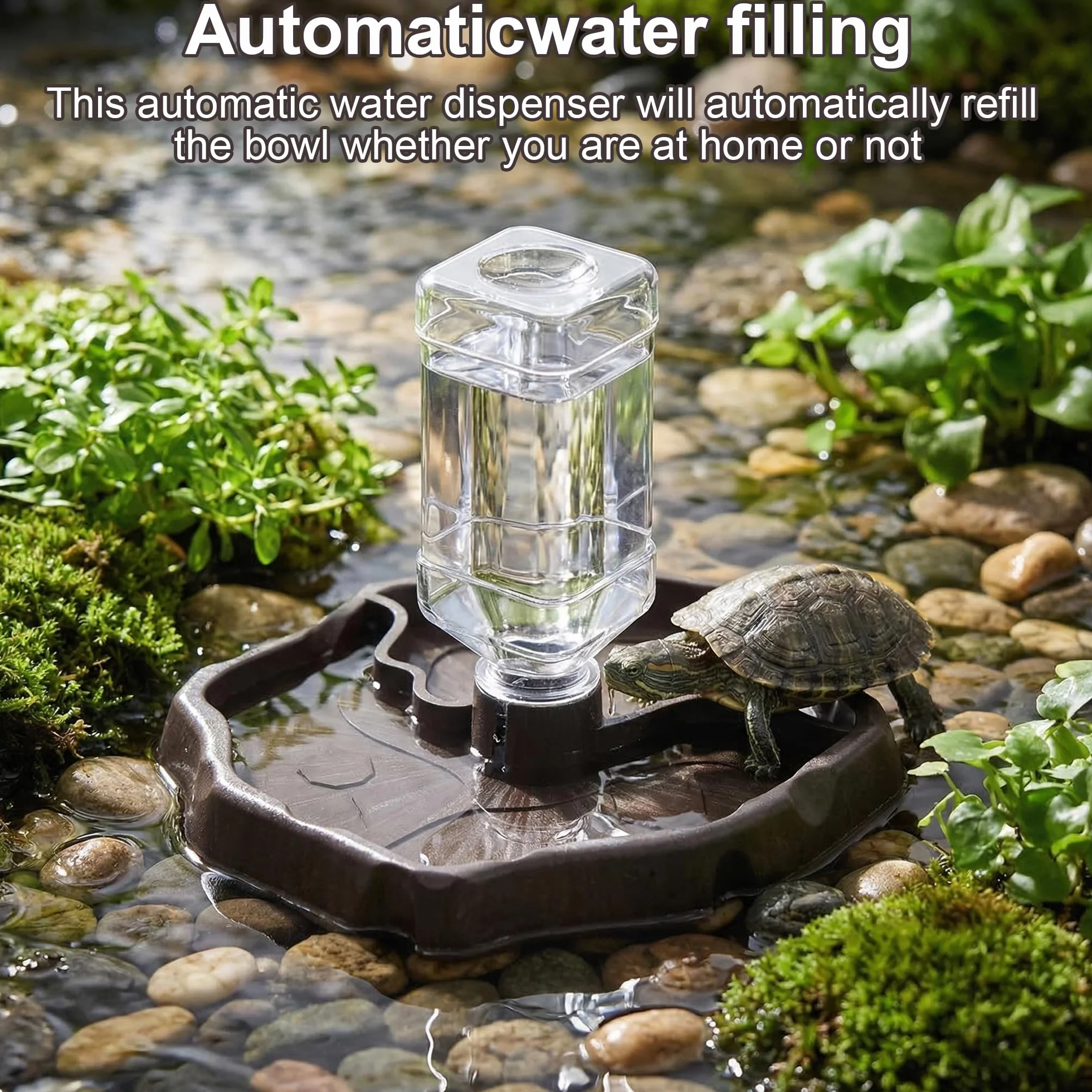 Distributeur d'eau pour Reptile 2 en 1 Mangeoire Gamelle Tortue Terrestre Bouteille Incluse