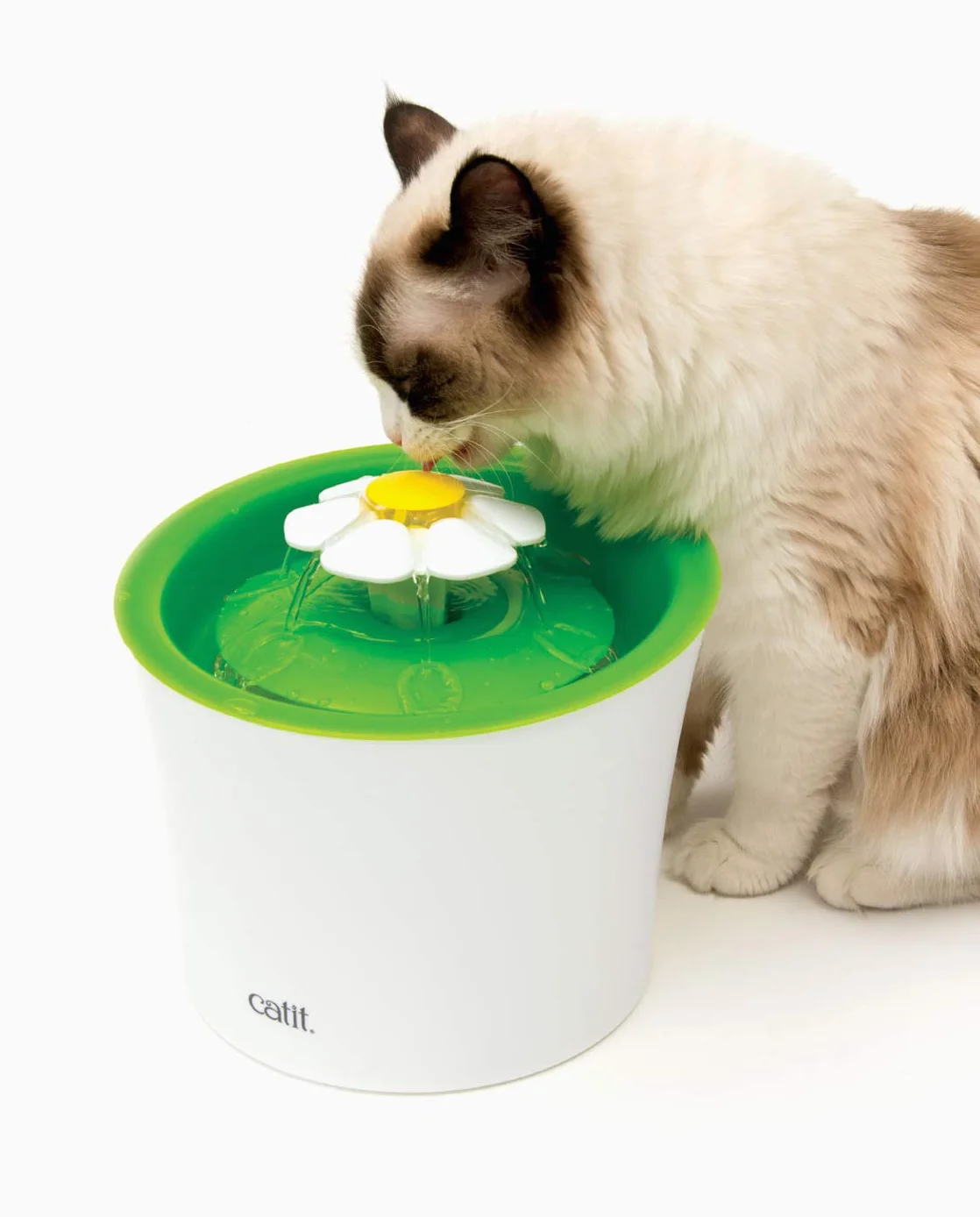 Cat it Fontanna oryginalna z okienkiem poziomu wody 3L