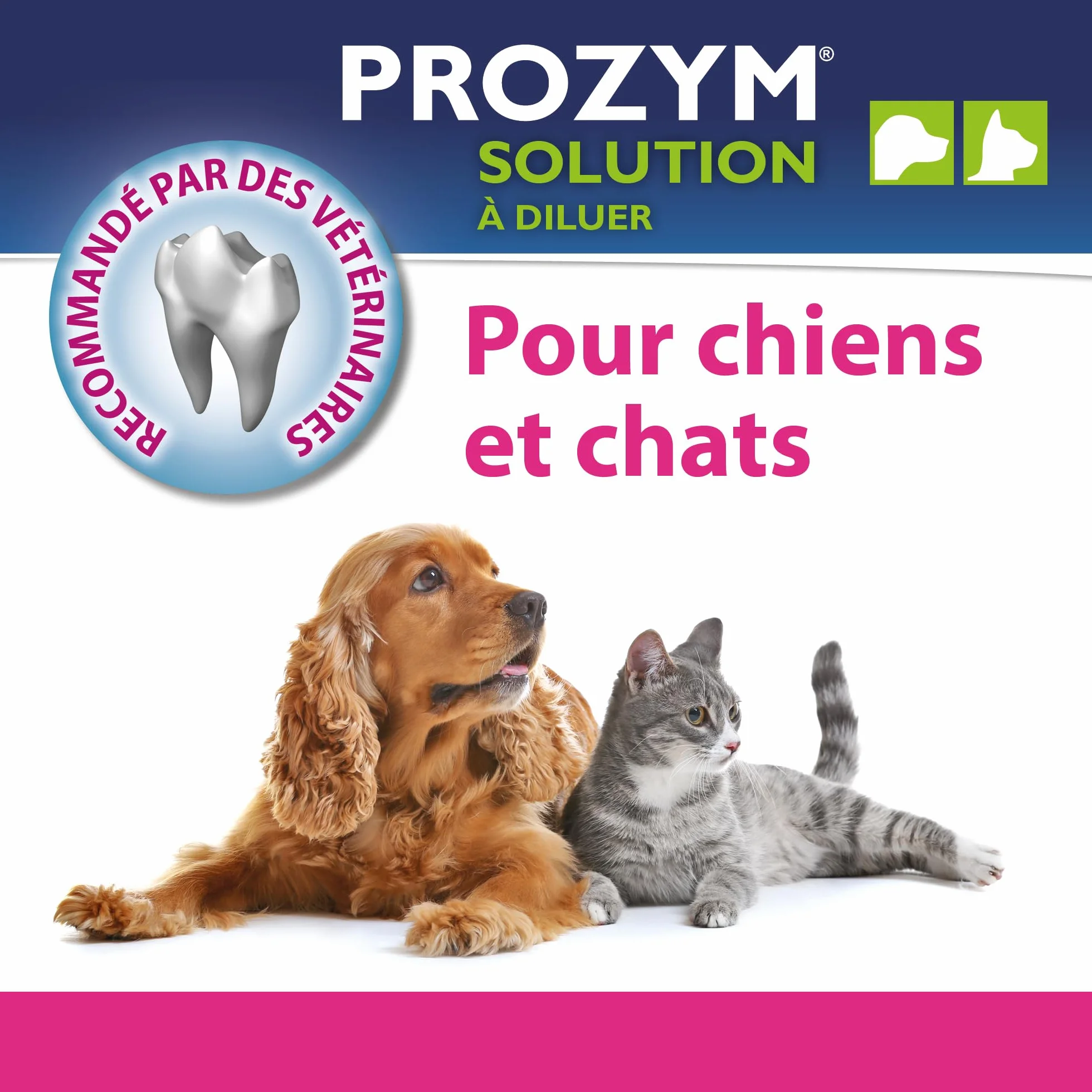 PROZYM Lot de 2 Solutions Dentaires pour Chiens et Chats Anti-tartre Anti-Plaque Haleine fraîche