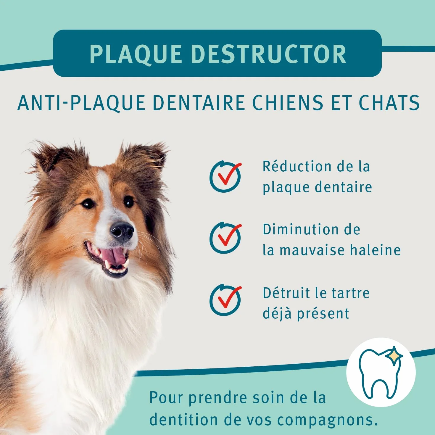 BUBIMEX Plaque Destructor Hygiène Bucco-Dentaire Chien Chat 100% Algue Brune 80 g