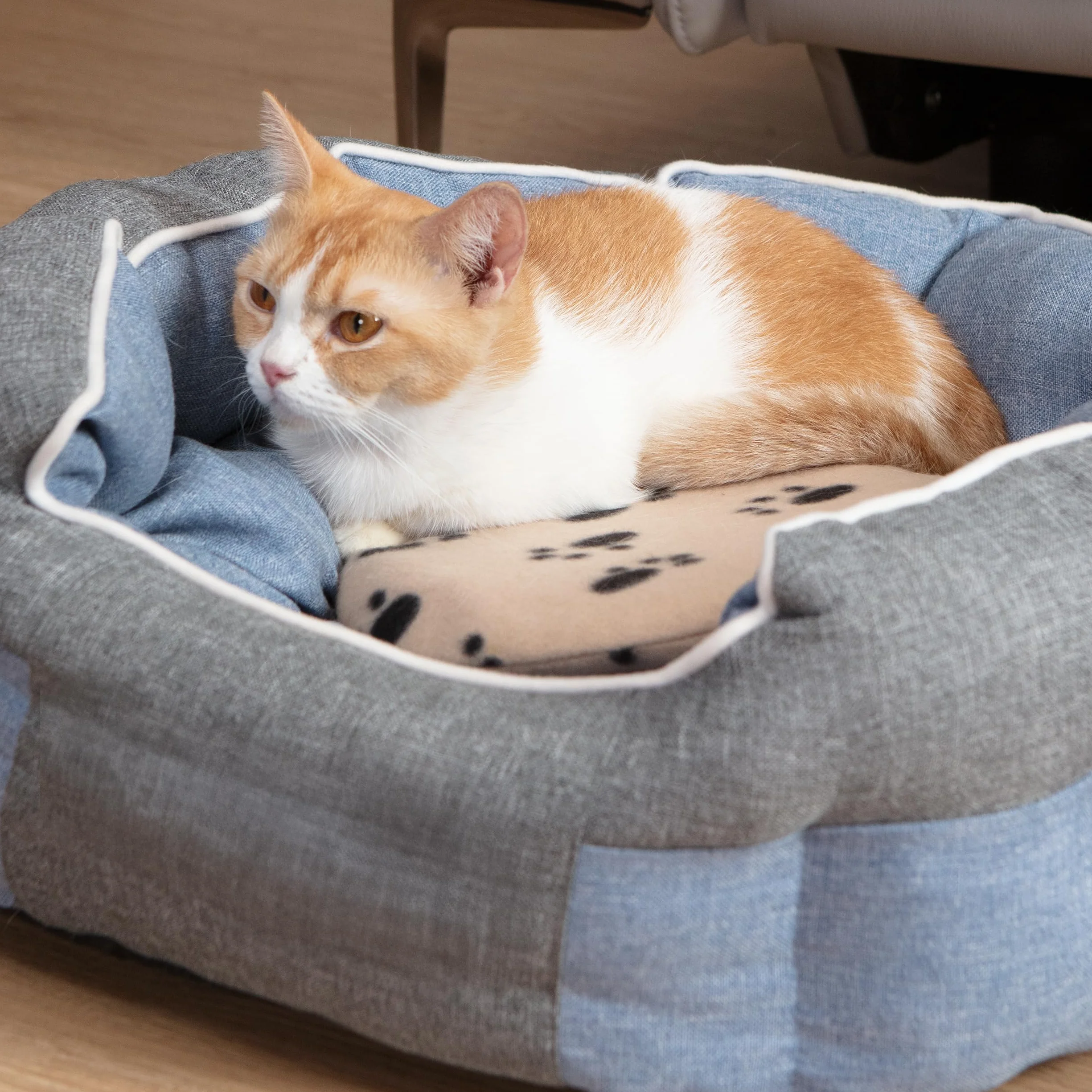 SnuggleSafe Coussin Chauffant Micro-Ondes pour Animaux - Disque Chauffant Résistant aux Morsures et à l’Eau - Jusqu’à 10 Heures de Chaleur