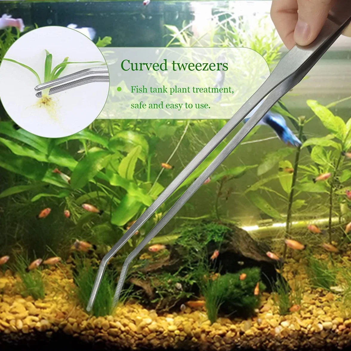 Pince Ciseaux en Acier Inoxydable pour Aquarium, Kit 3-en-1 Outils de Poisson