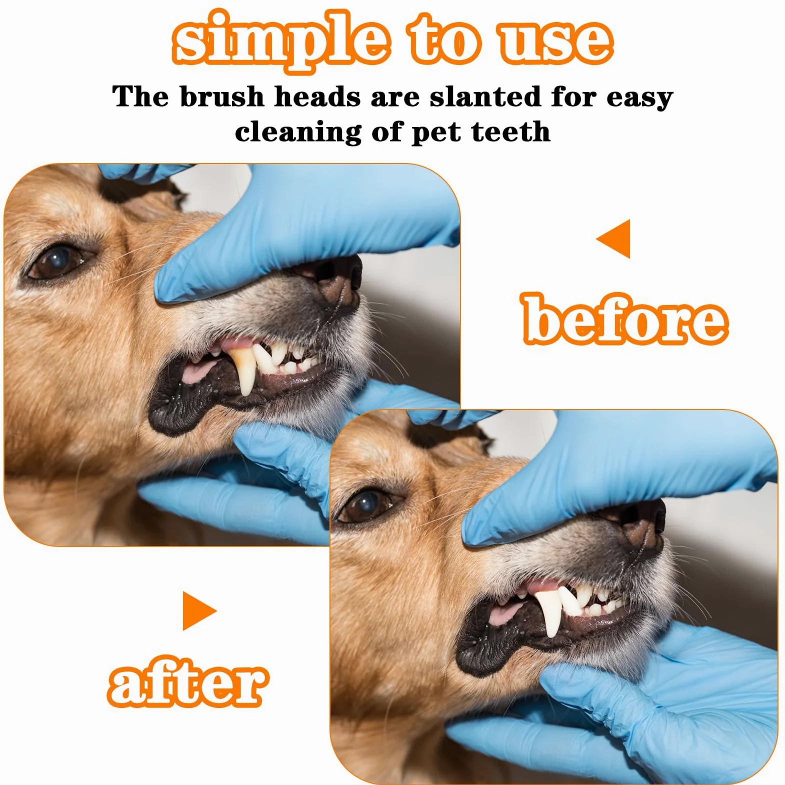 Lot de 300 brosses à dents en plastique à double tête pour chiens et chats de grande taille - 10 couleurs +