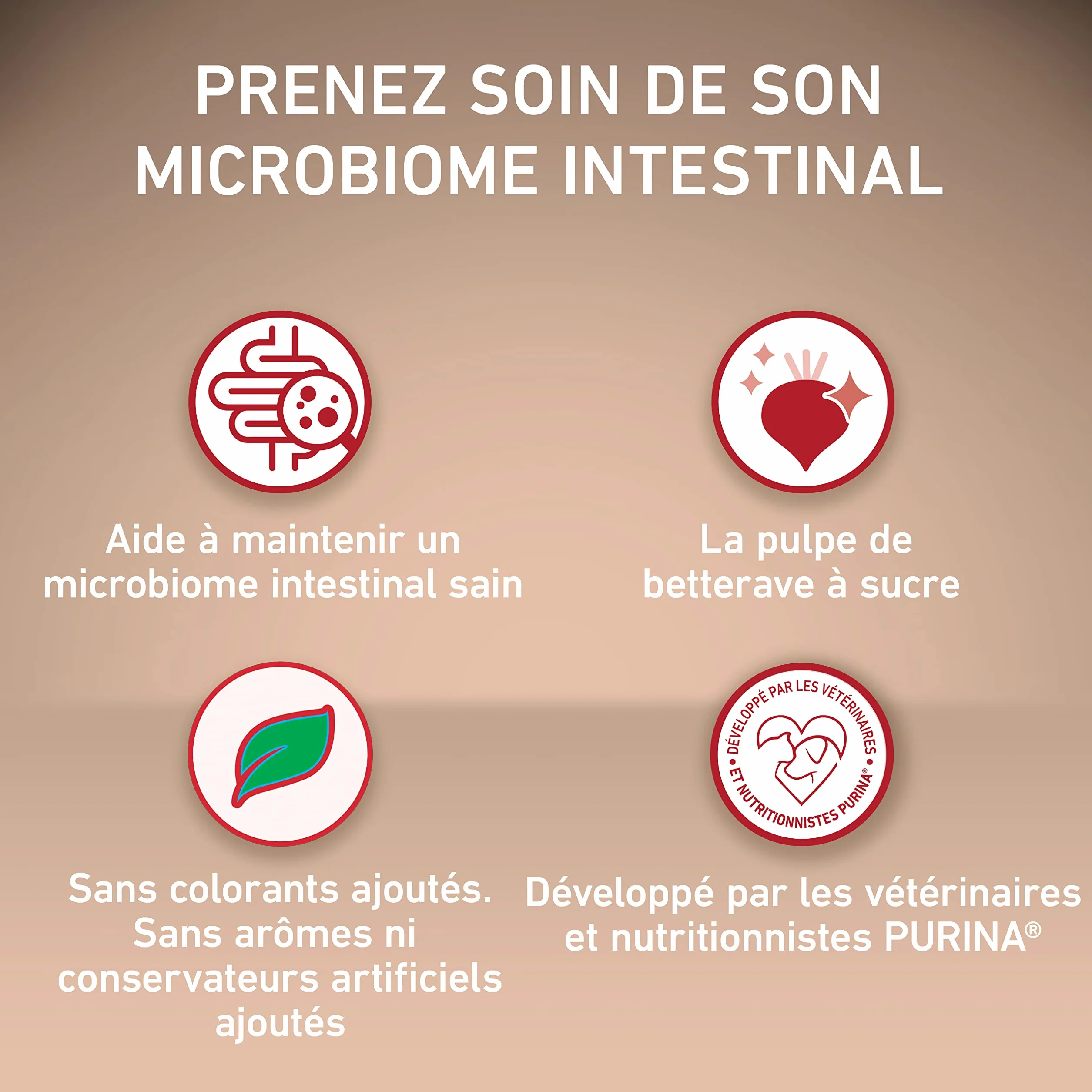 PURINA ONE Sensitive Croquettes Chien Adulte Saumon 2,5 kg