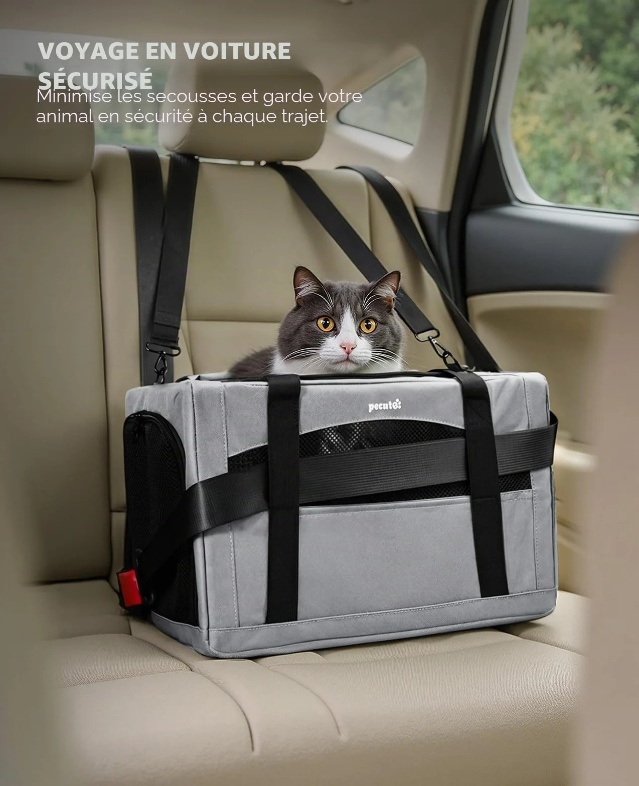 Pecute Sac de Transport pour Chat Pliable Ultra Stable Gris Voyage Chien Portable