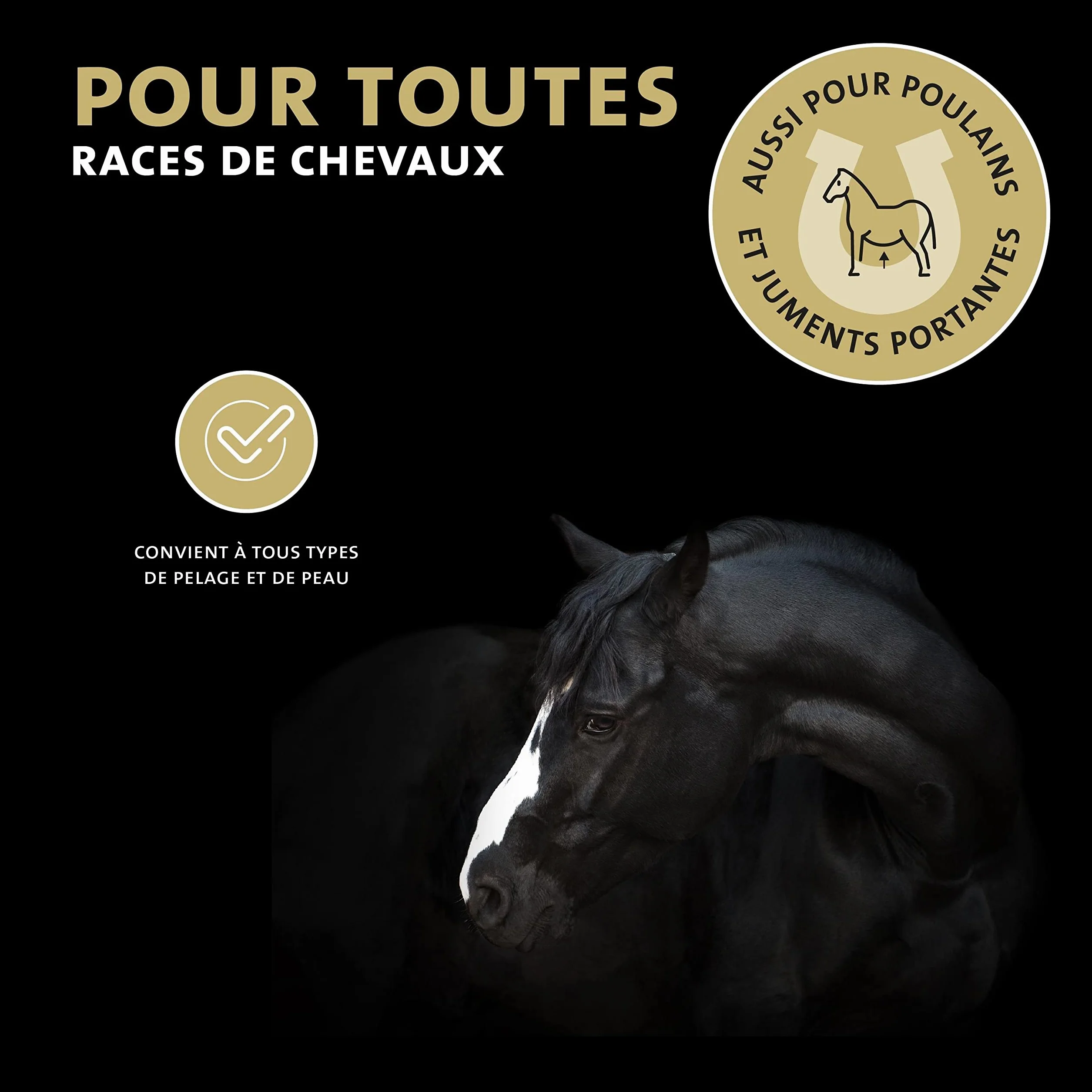 Peticare Shampoing Anti-Acariens Anti-Puces Chevaux Soin Peau Sensible