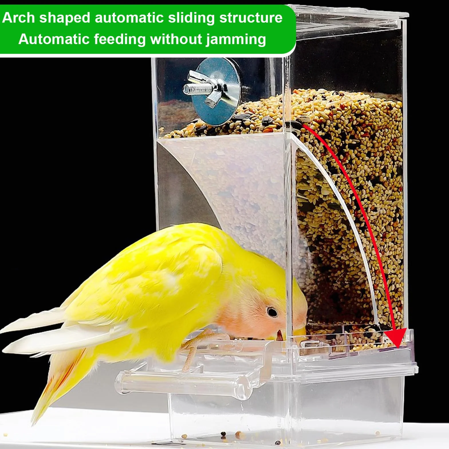 Mangeoire Automatique pour Oiseaux Transparent avec Bac de Récupération des Graines