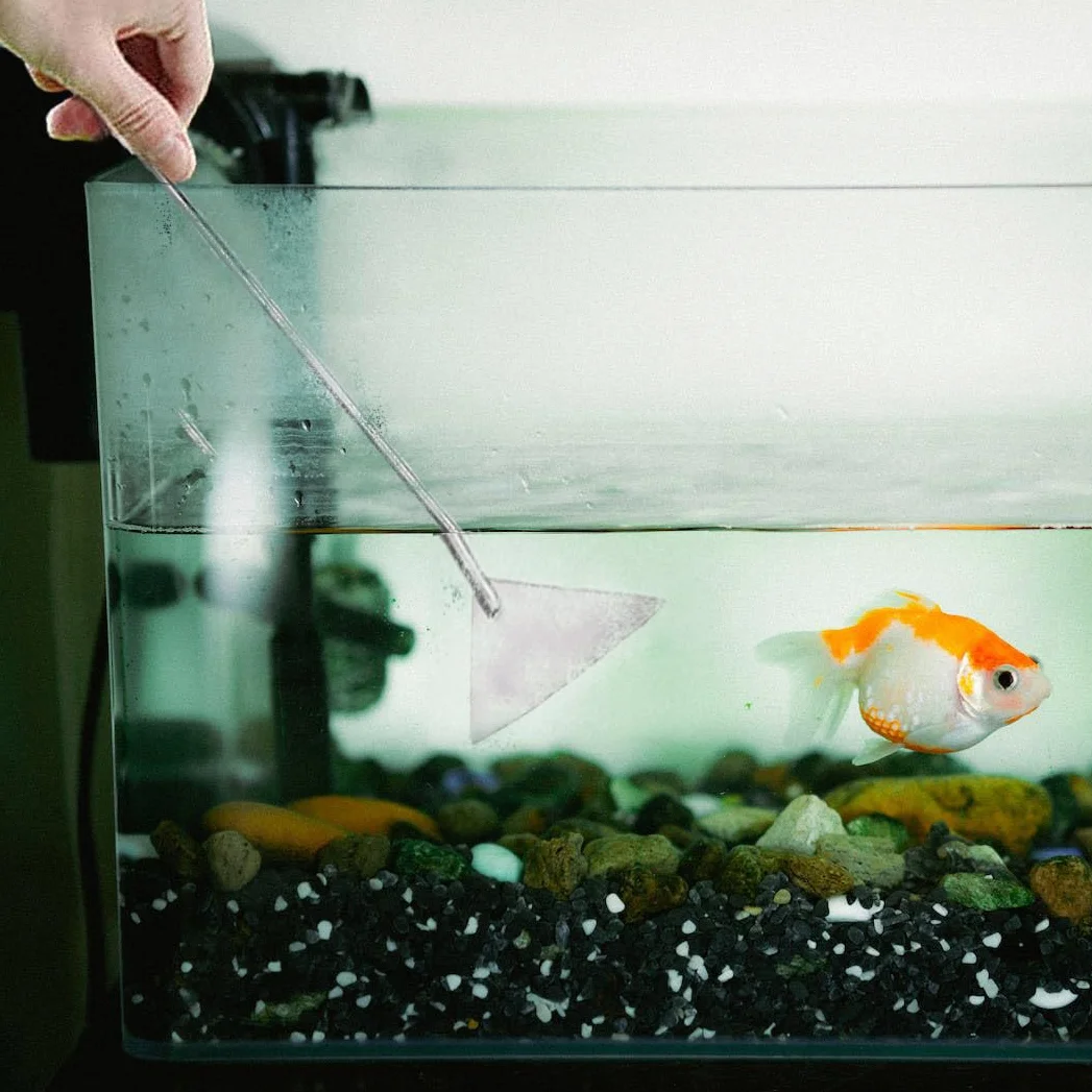 Aquarium Aquascaping Kit 3 Pièces Acier Inoxydable Pinces Pelle Outils Entretien