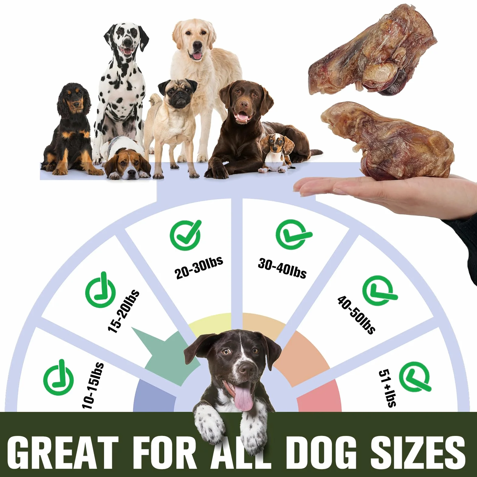 Os de Poignet de Vache pour Chien - Jouet à mâcher à Base de rotule de bœuf, friandises Longue durée pour mâcheurs agressifs, Petits et Grands Chiens