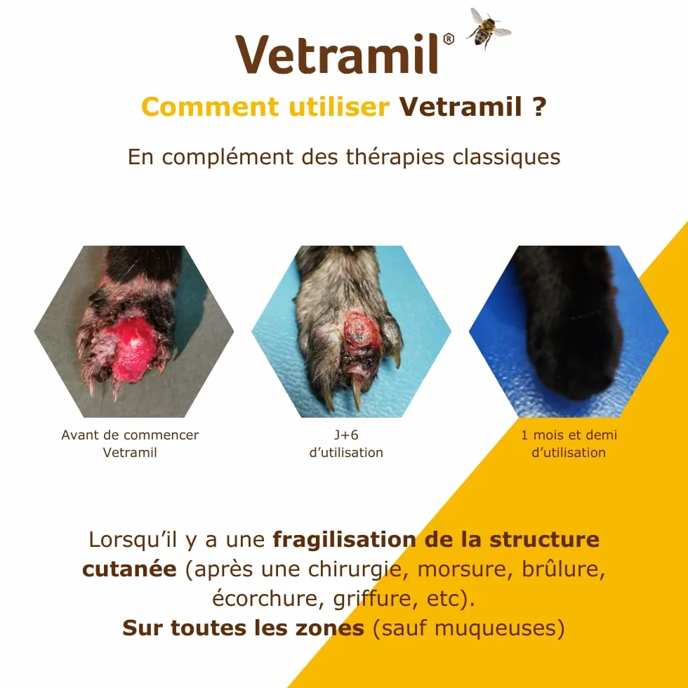 Anidev Vetramil Pommade Protectrice 30g Peaux Fragilisées Miel Huiles Essentielles