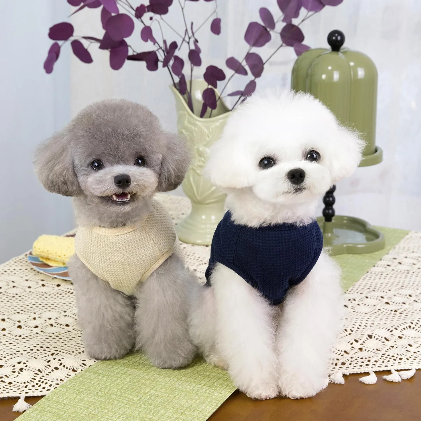 3 Pièces Chien Chemises Vêtements Respirant Livre Ours Gaufré Motif Cool Été Coton Débardeur Gilet T Shirt pour Petit Chiot Chat
