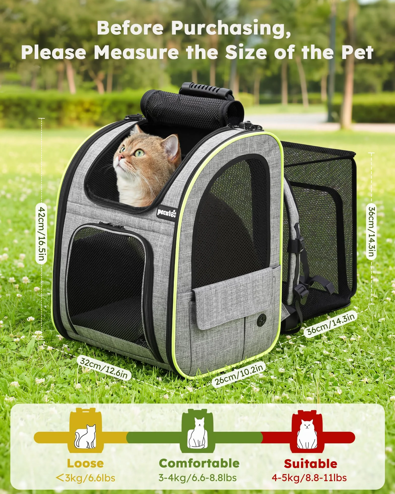 Pecute Sac Transport Chat Petit Chien Extensible, Sac a Dos Chat Respirant, Sac de Transport pour Chat avec Matelas en Peluche, Gris