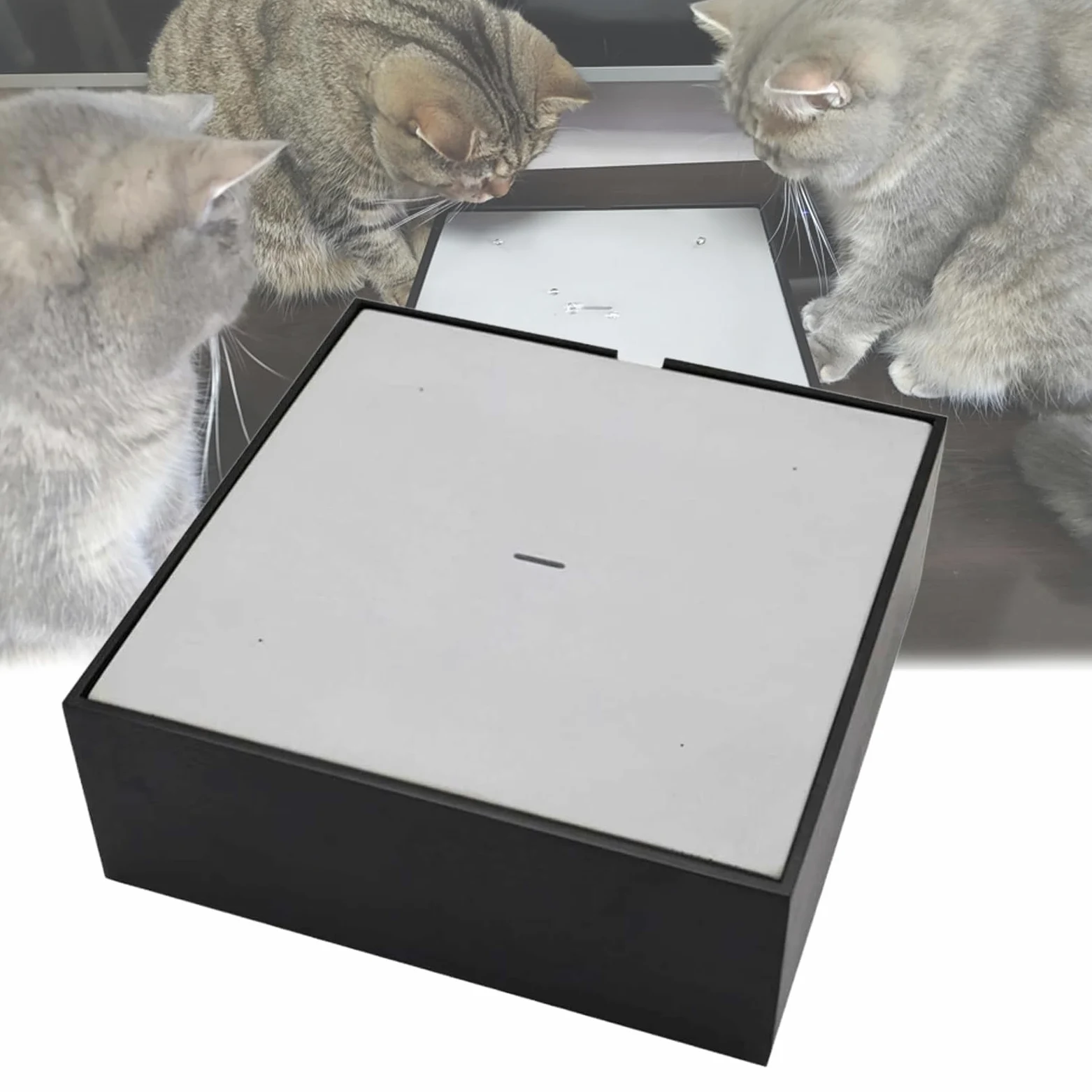 Jouet pour Chat Automatique en Forme De Goutte d'eau, avec Réservoir d'eau De 600 ML, Filtre Amovible Et Lavable Intégré, Débit Réglable, pour Une Détente à La Maison